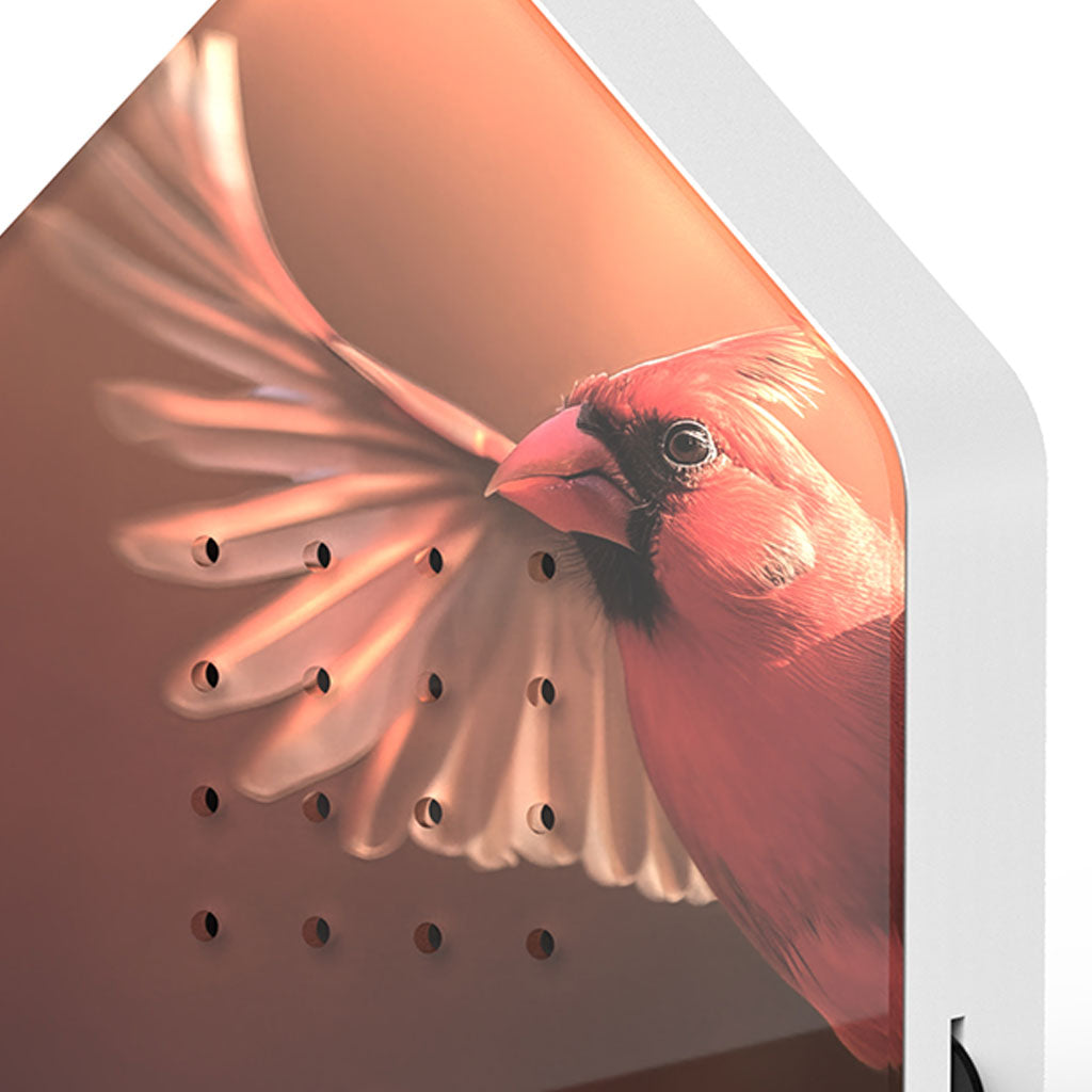 Bird Soundbox: Red Cardinal、mySite、topwebapps