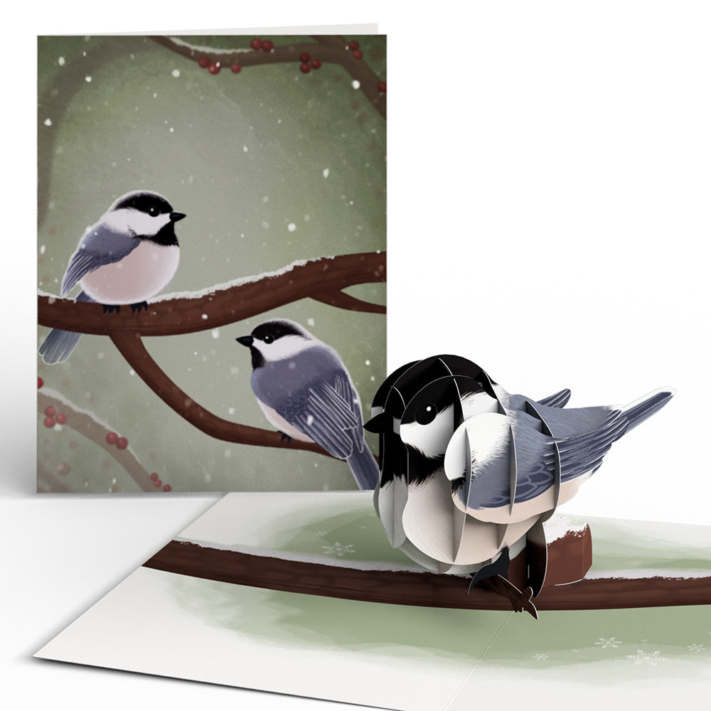 Winter Bird Box Set (Assorted 12-Pack): Paperpop® Card、mySite、solidvoid