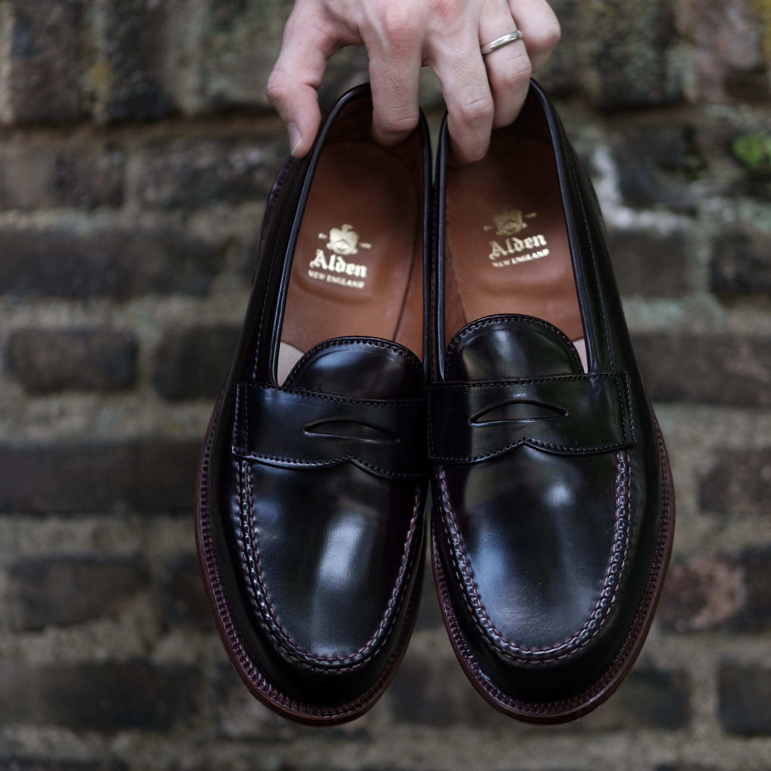  D6207 - Antique LHS in Color 8 Shell、mySite、preschool7hills