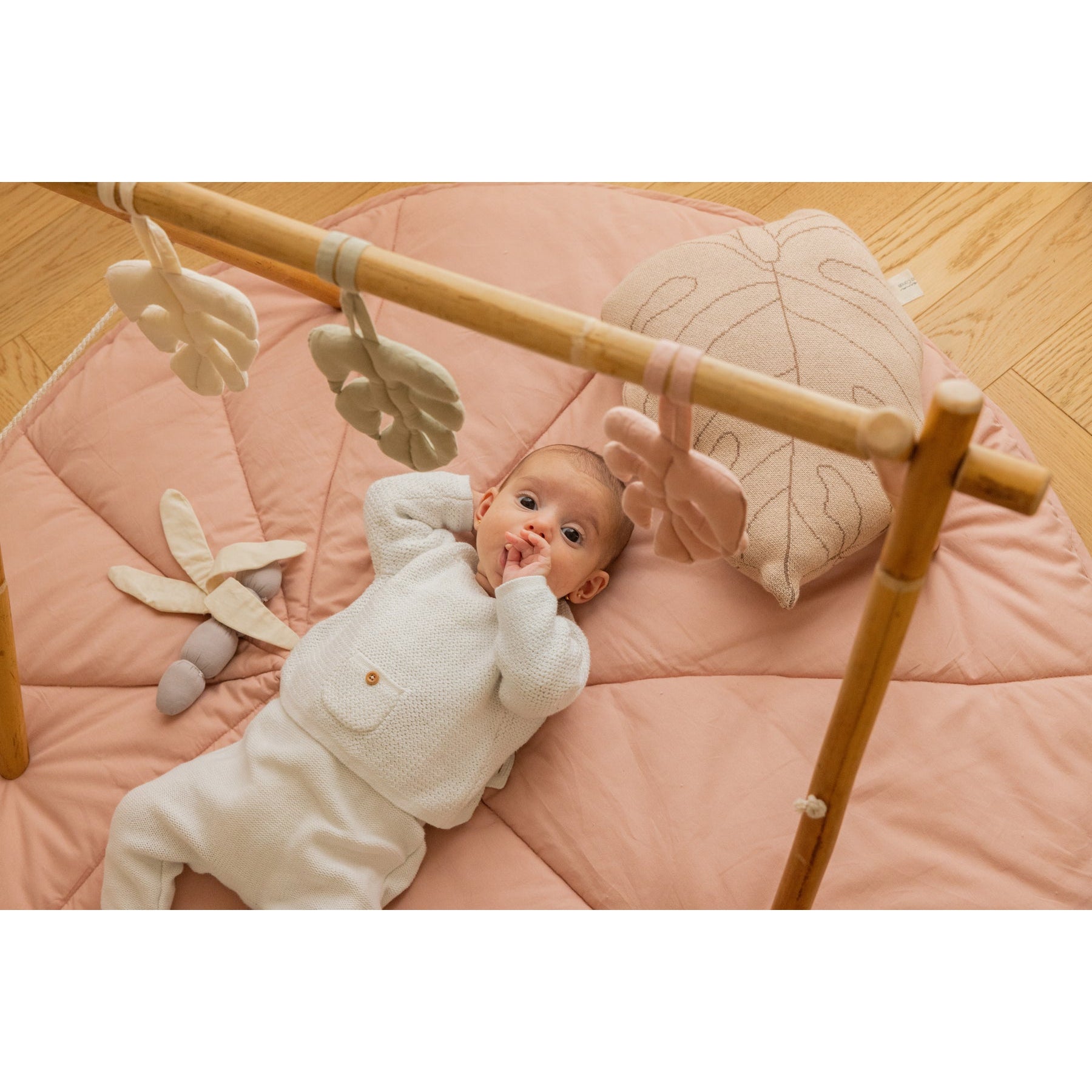 Monstera Set of 3 Rattle Toy Hangers、mySite、gigharbornorthrealestate