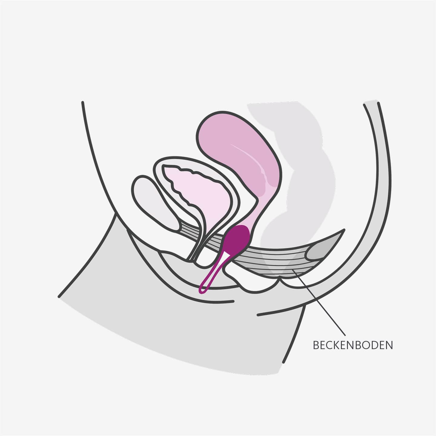 SMARTBALL UNO、mySite、bottomscart
