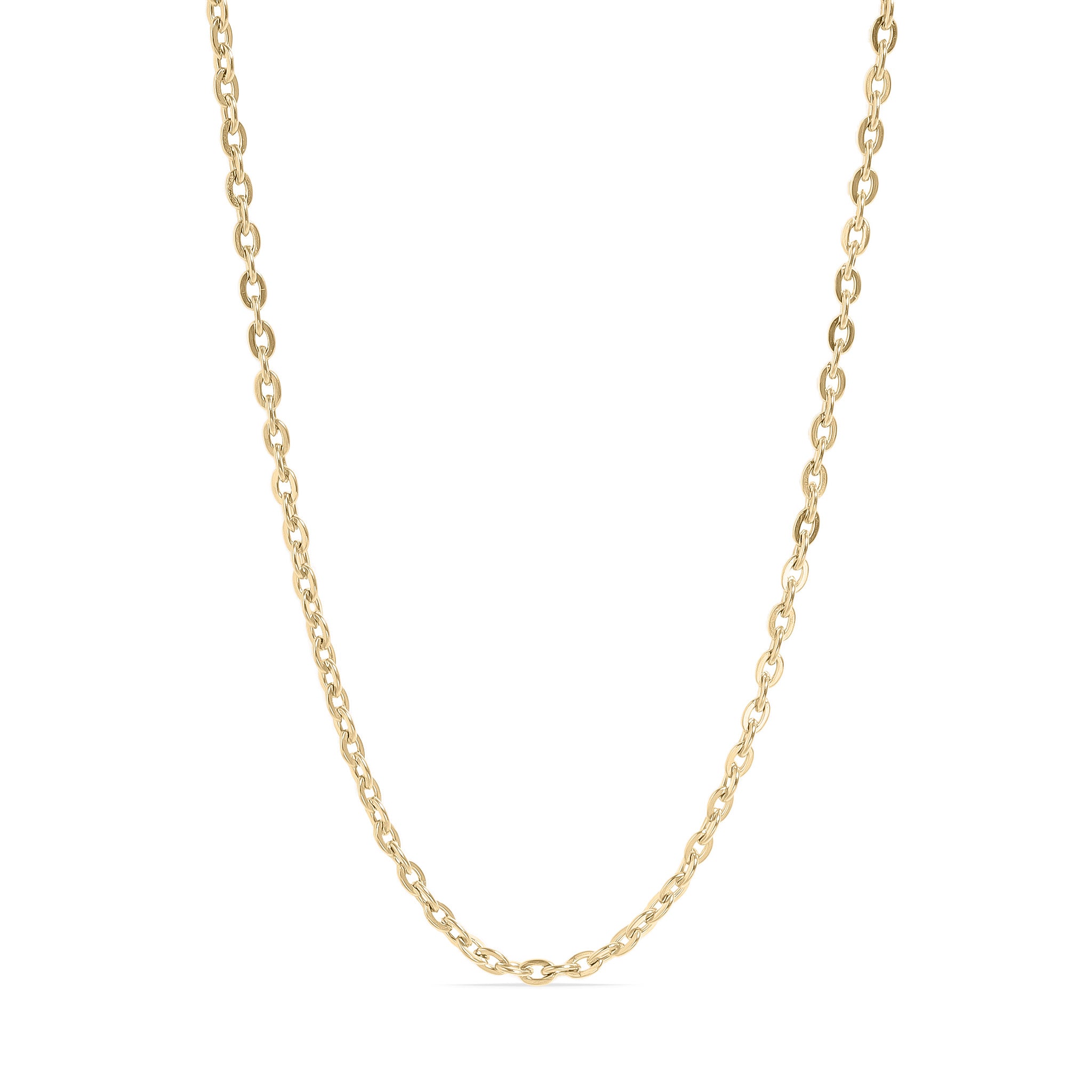 18K Gold PVD Stainless Steel Flat Oval Loop Chain / CHN0051、mySite、dreamappss