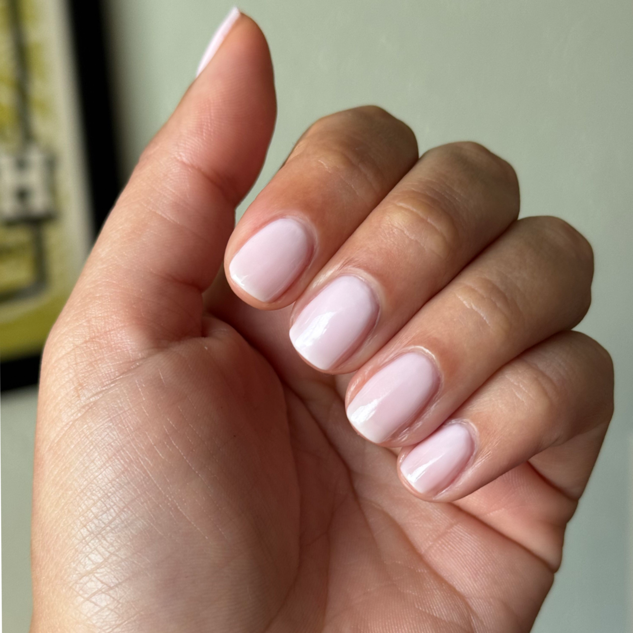 Puffball、mySite、solidvoid