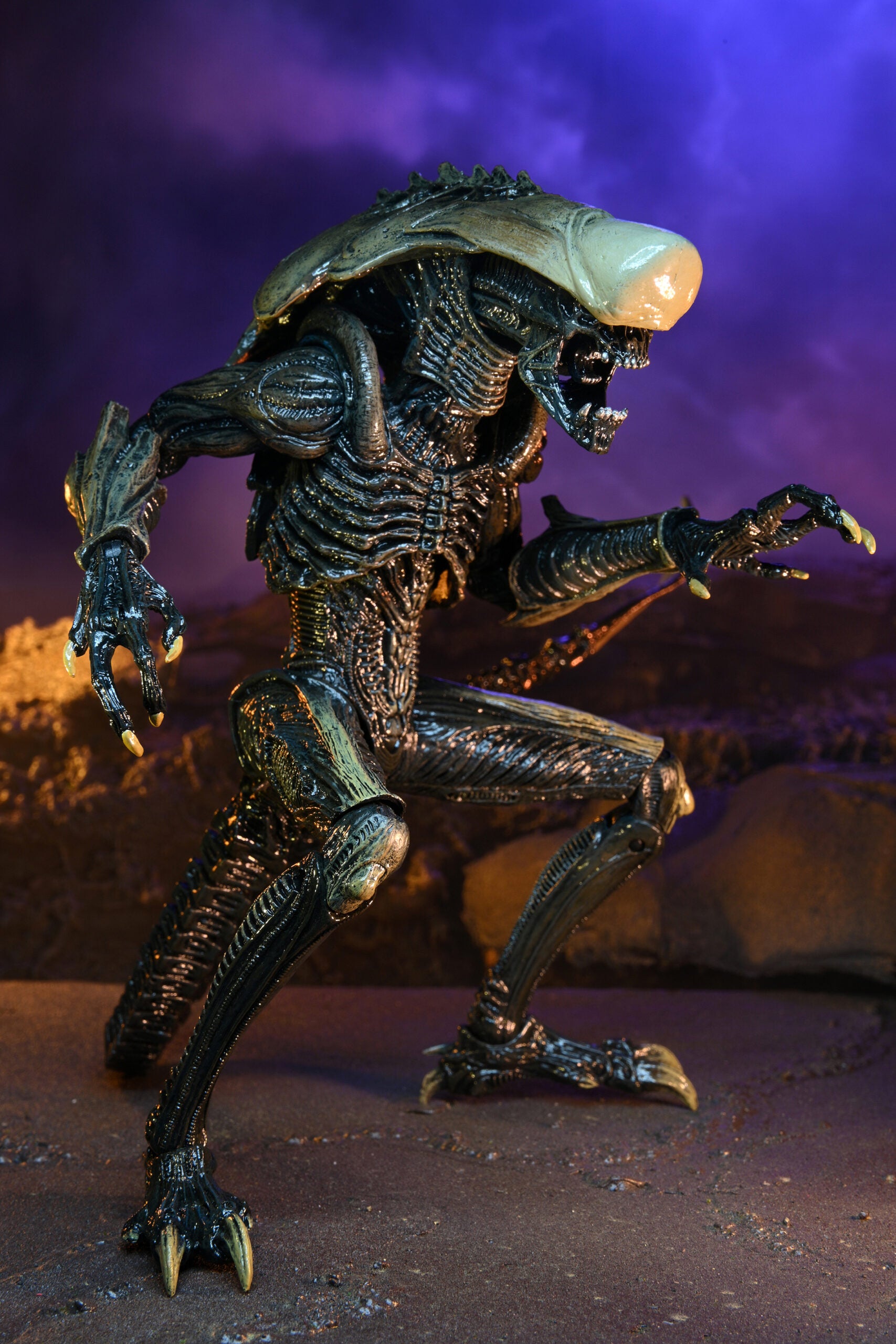 NECA Alien vs. Predator Chrysalis (Movie Deco)、mySite、hgirdovlk