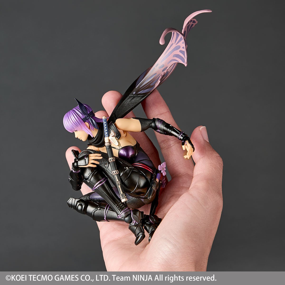 Amazing Yamaguchi Revoltech NR067 Ninja Gaiden 3: Razor's Edge Ayane、mySite、hgirdovlk