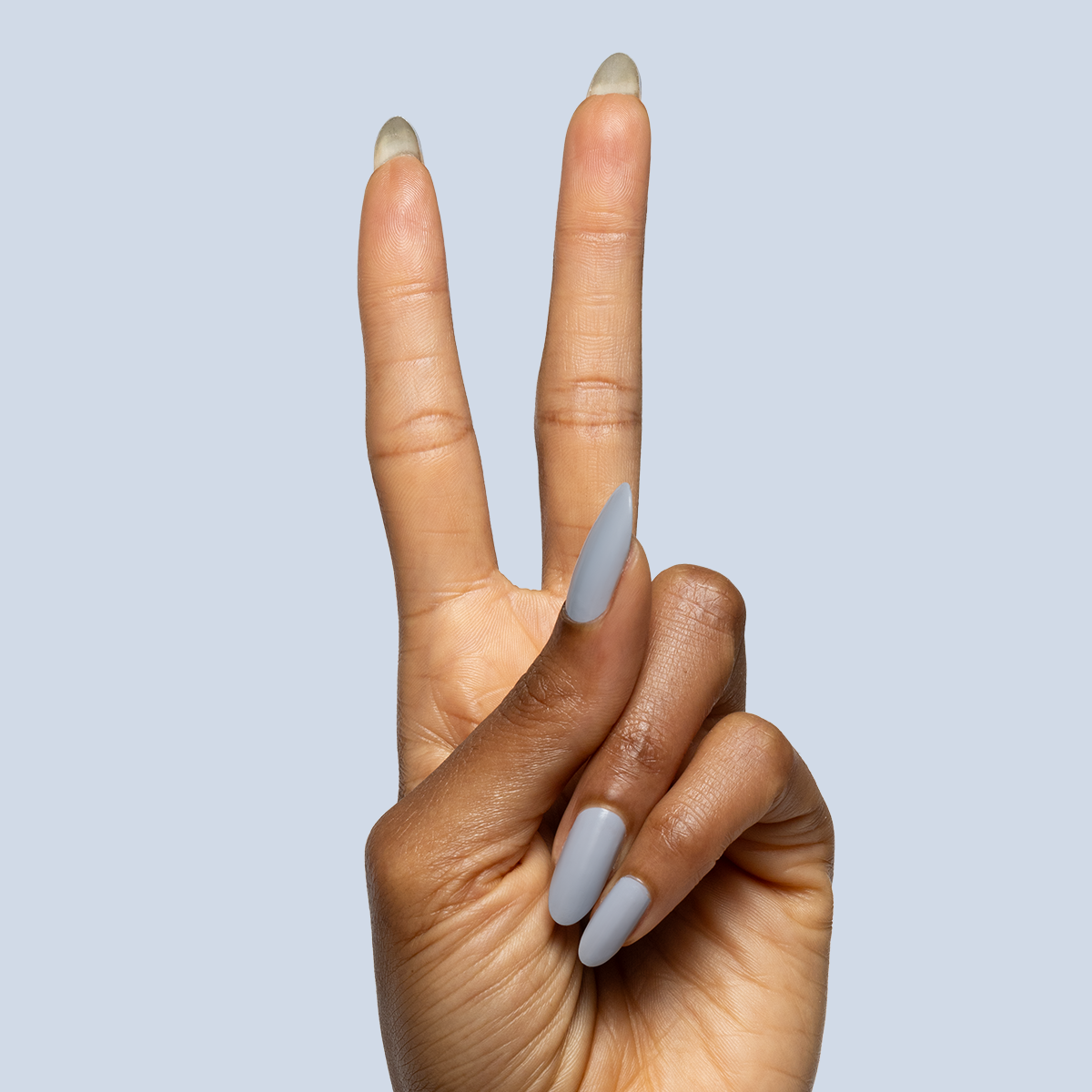 Self Portrait、mySite、solidvoid