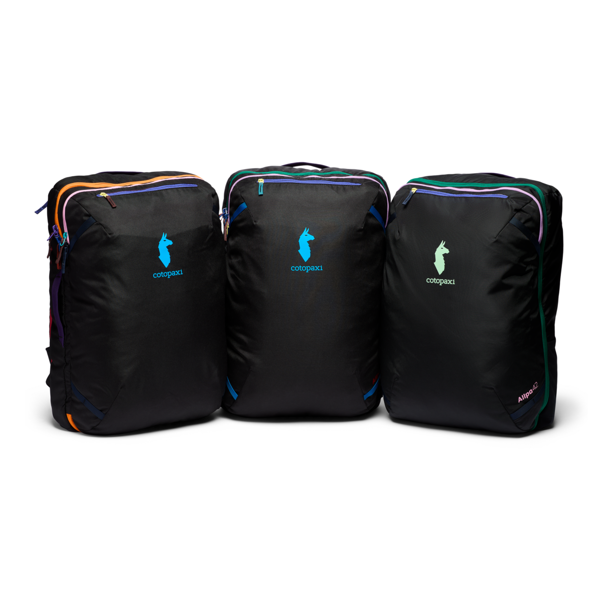 Allpa 42L Travel Pack - Del Día Dark、mySite、shAllpa 42L Travel Pack - Del Día Dark、mySite、glenpowelloop_name