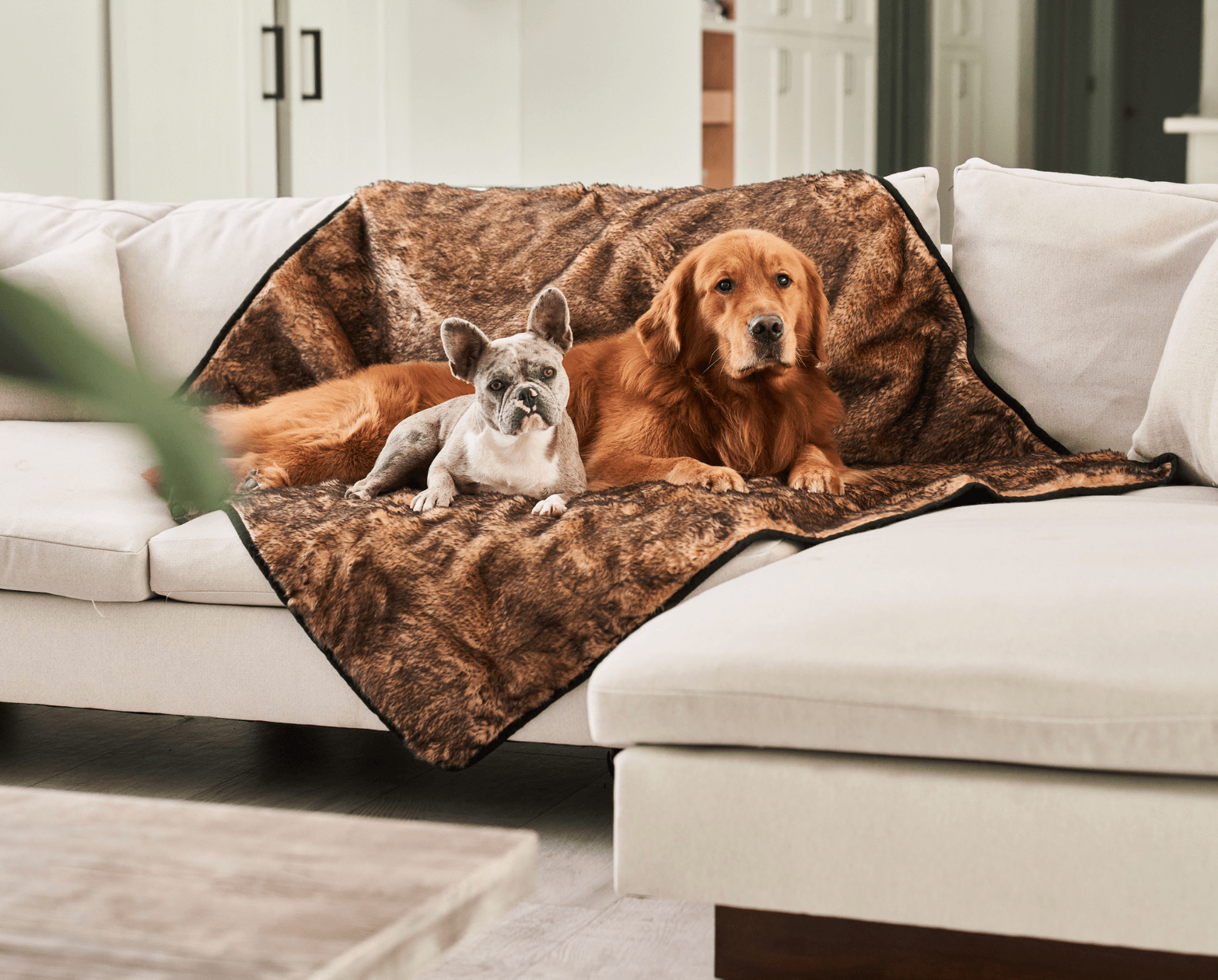 PupProtector™ Summer Short Fur Waterproof Throw Blanket - Sable Tan、mySite、solidvoid