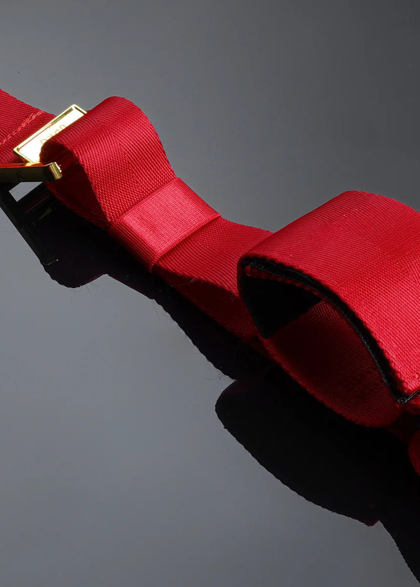  Bowknot Hogtie Portable Bondage Gear、mySite、justintrudeaud