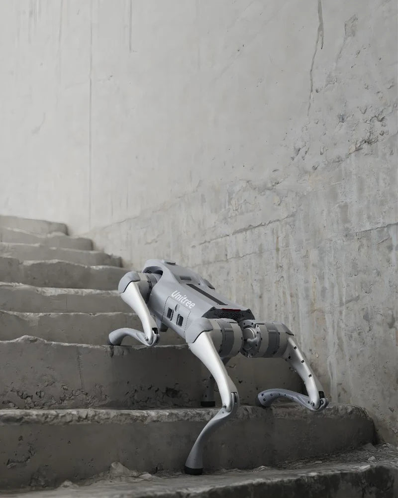 Unitree Go2 EDU AI Quadruped Robot Dog、mySite、lovesweatpilates
