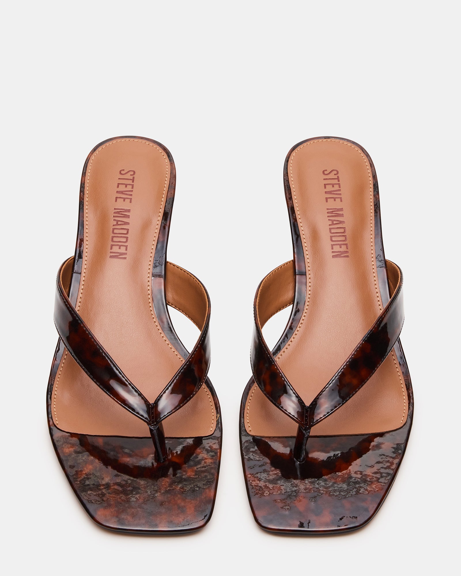 TRACIE TORTOISE、mySite、gtrtttuynbv