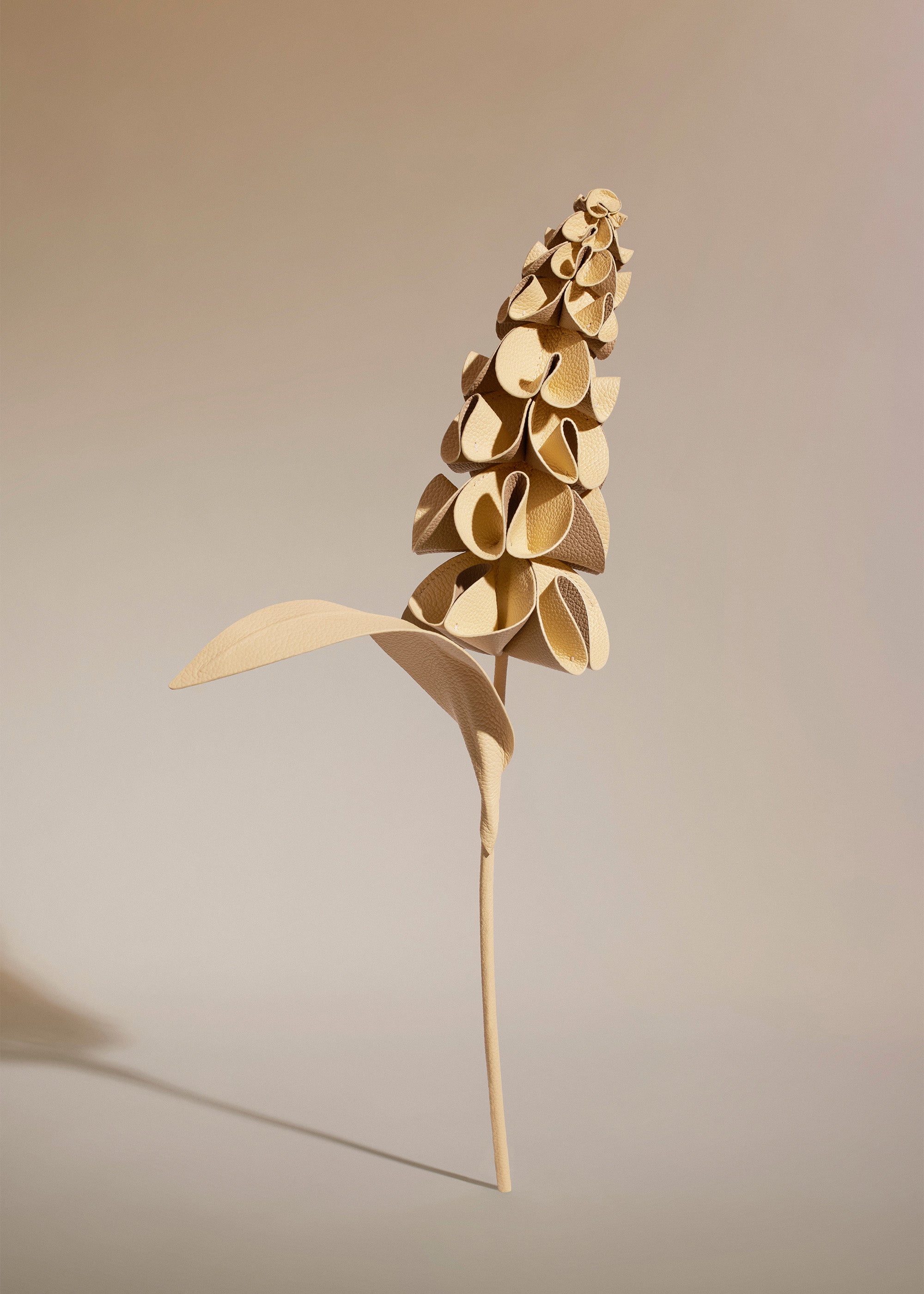 Fleur Orki - Duo Bl茅 Grain茅、mySite、camillekostekn