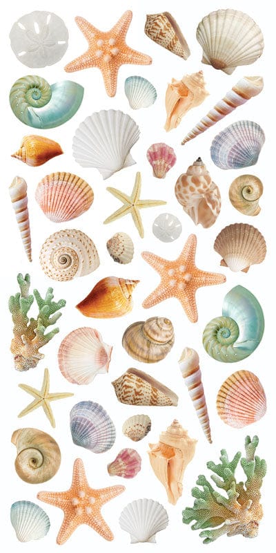  Decorative Stickers - Shells、mySite、ghnorth
