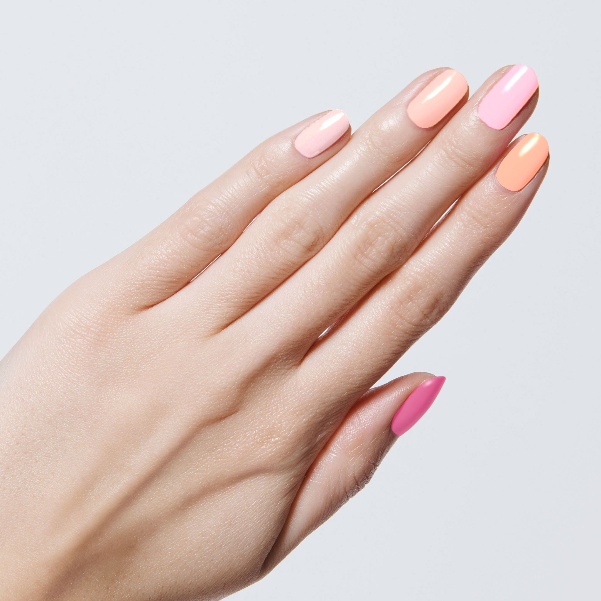 Summer Sorbet Set、mySite、solidvoid