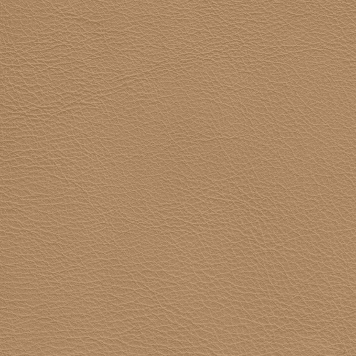 Latte、mySite、neckold