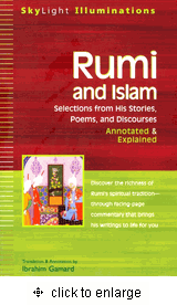 Rumi and Islam PB、mySite、topwebapps