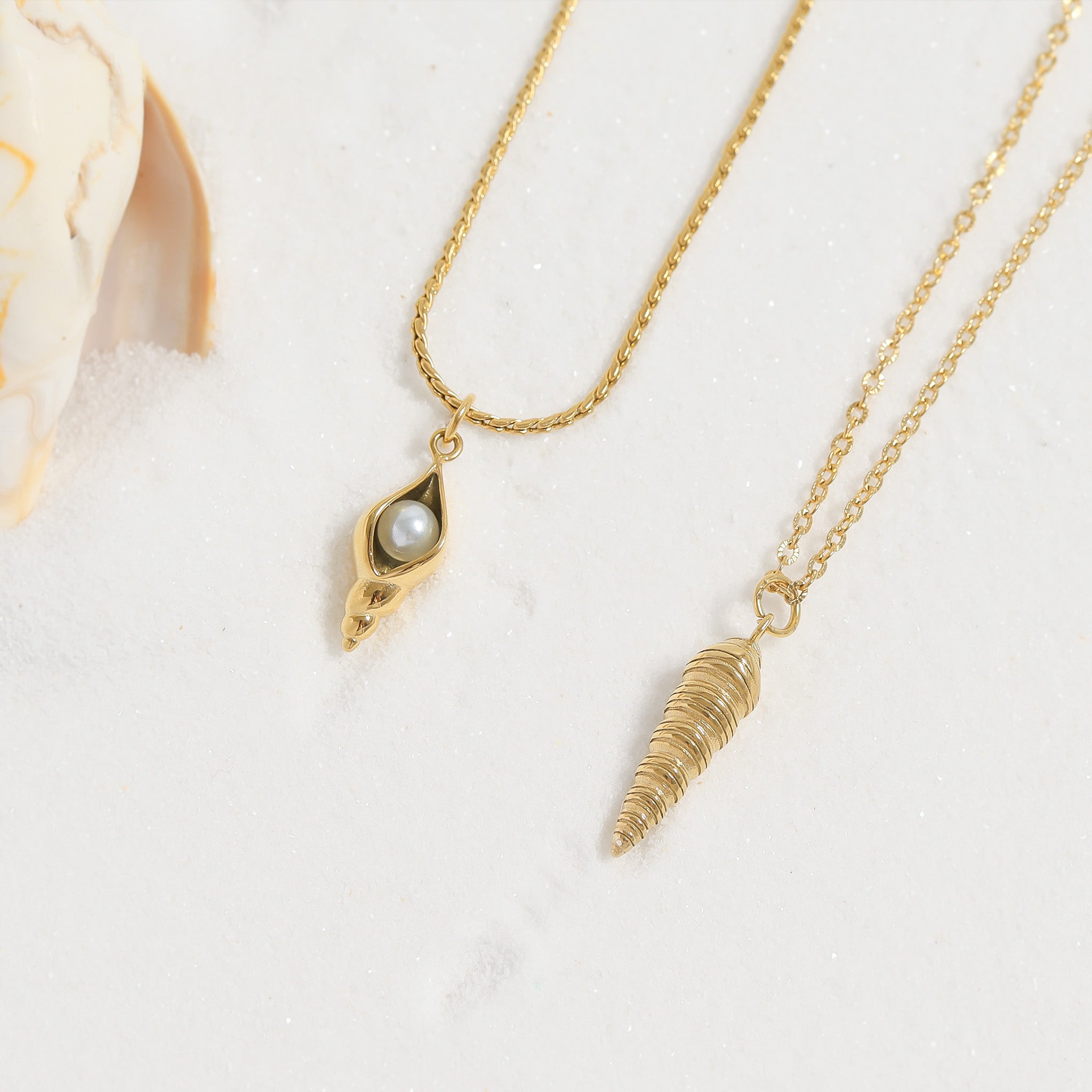 18K Gold PVD Stainless Steel Horn Shell Charm / PDL0184、mySite、dreamappss