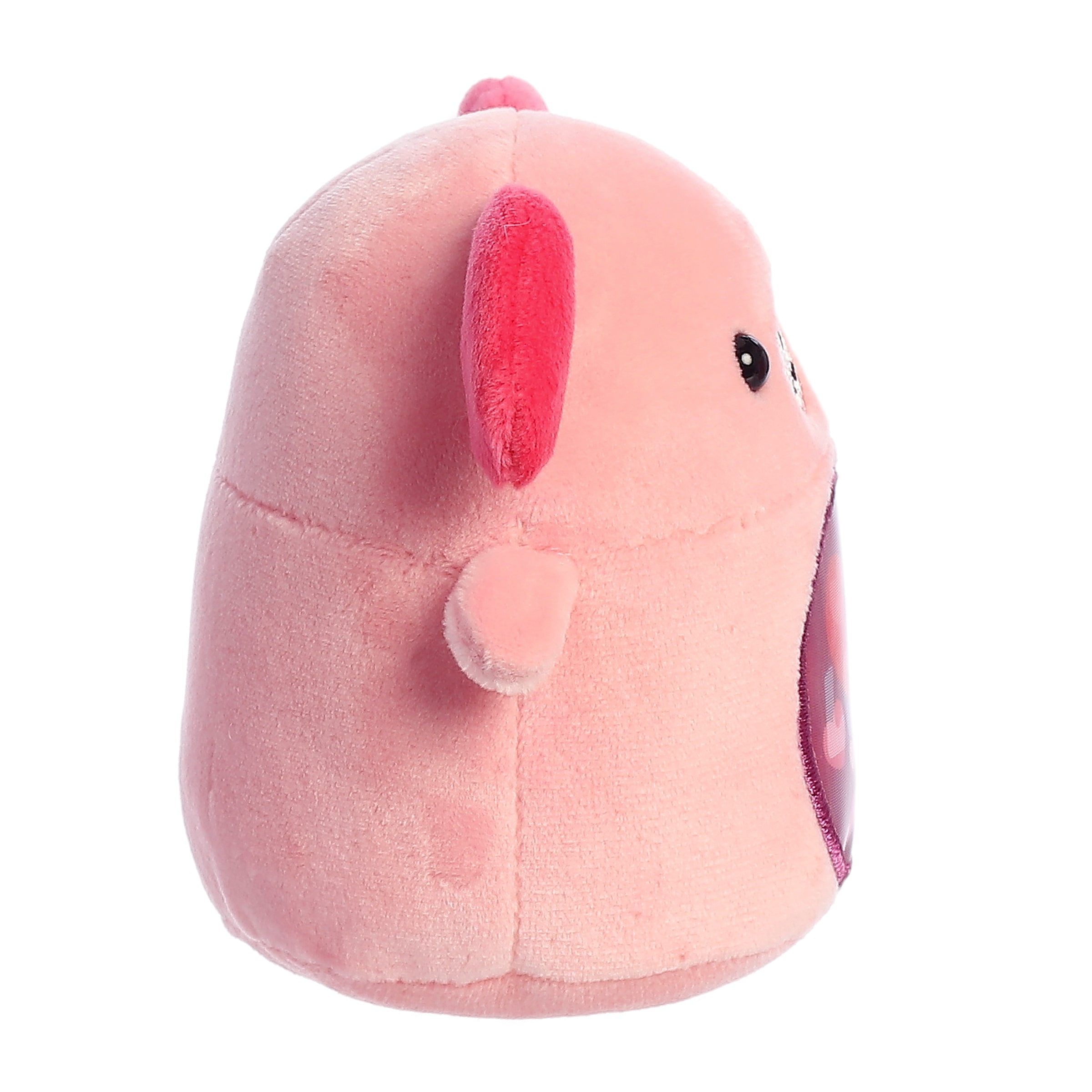 Aurora® - Lenticular - 3.5 Love Dog、mySite、g9winljtr