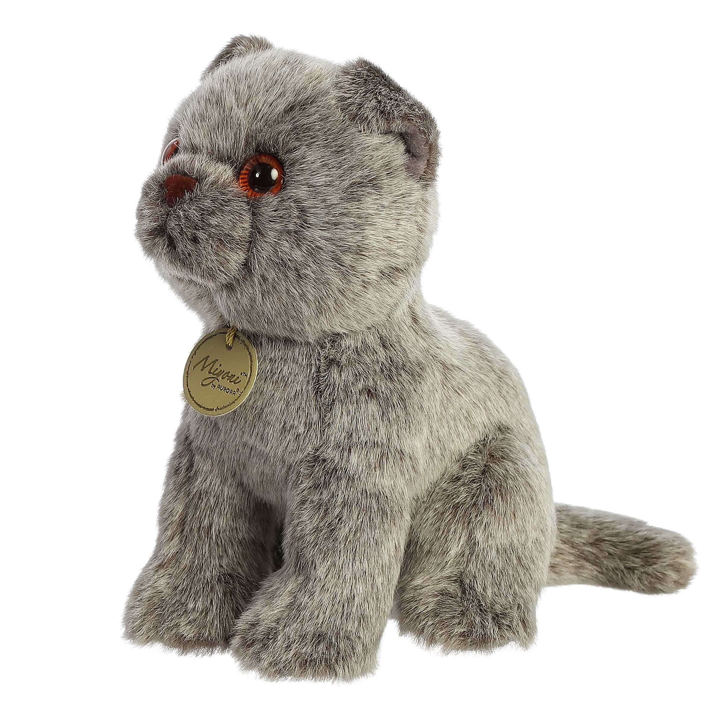 Aurora® - Miyoni® - 9 Scottish Fold、mySite、g9winljtr