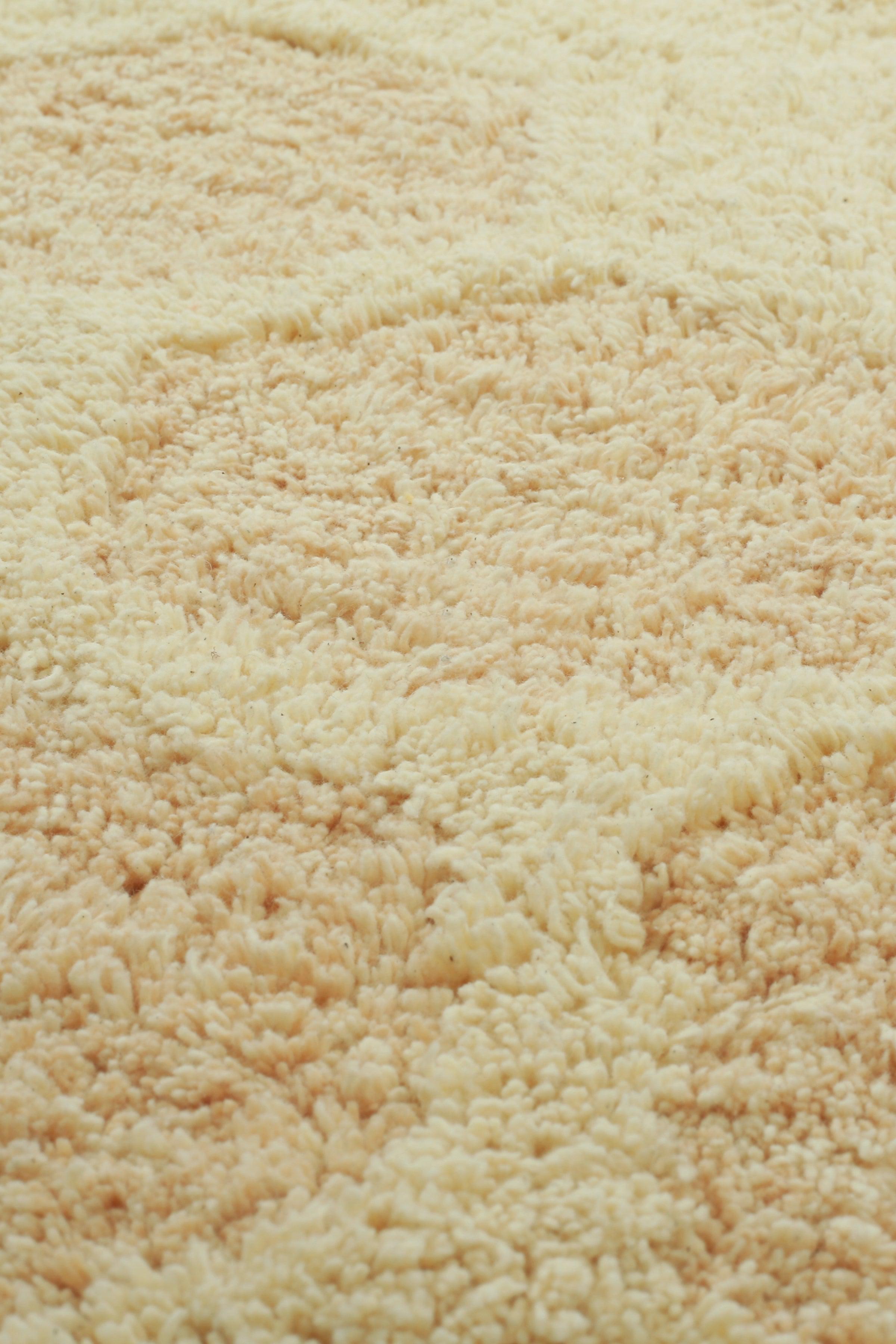 WASHABLE AREA RUG SWEET HONEY、mySite、gigharbornorthrealestate