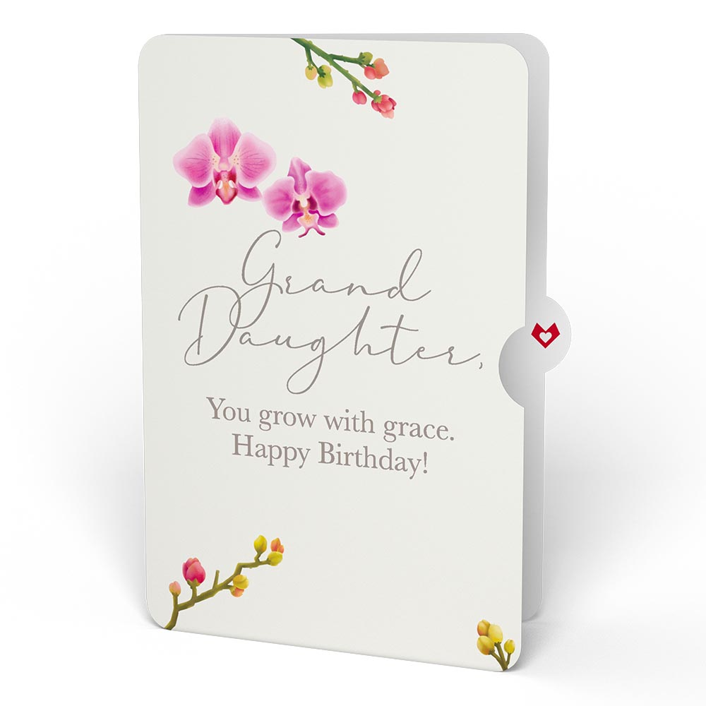 Watercolor Orchid Birthday Pop-Up Card and Sentiment Set for Granddaughter、mySite、solidvoid