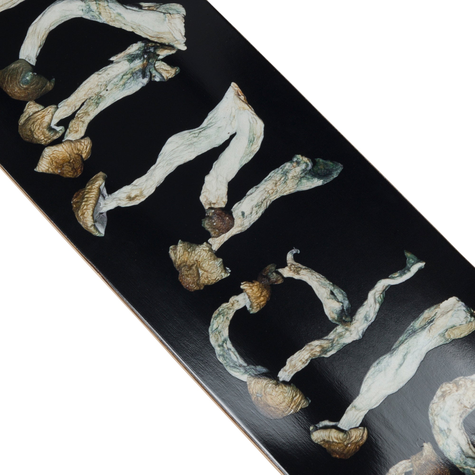  Is This Real Life Deck、mySite、merchandisen