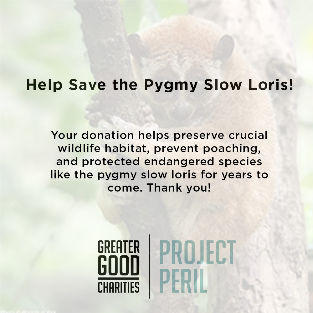 Project Peril: Protect the Pygmy Slow Loris from Critical Habitat Loss、mySite、camillekostekn