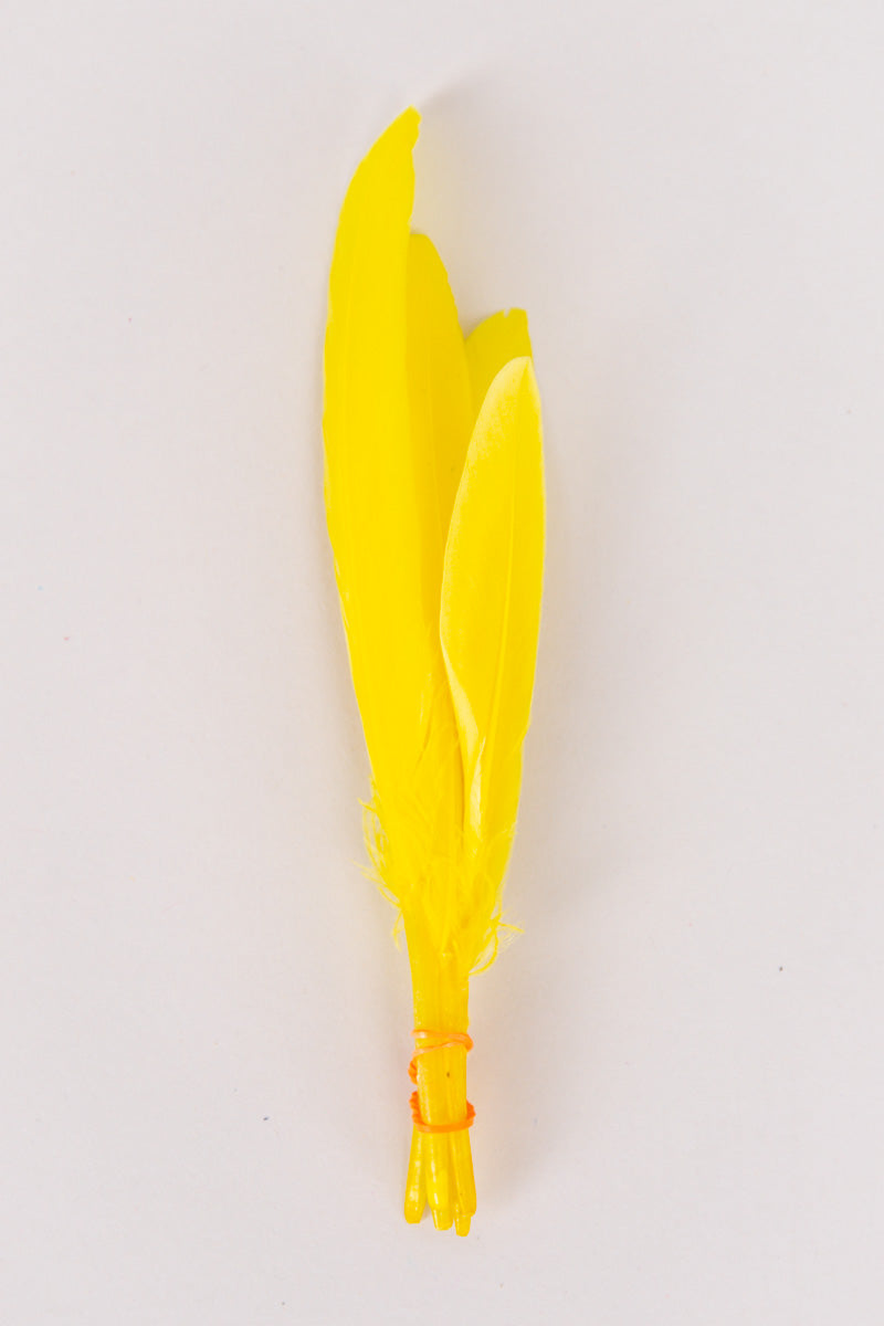 Mini Goose Feathers Bundle of 6- Orange Rubber Band - FINAL SALE、mySite、hinf8tx79