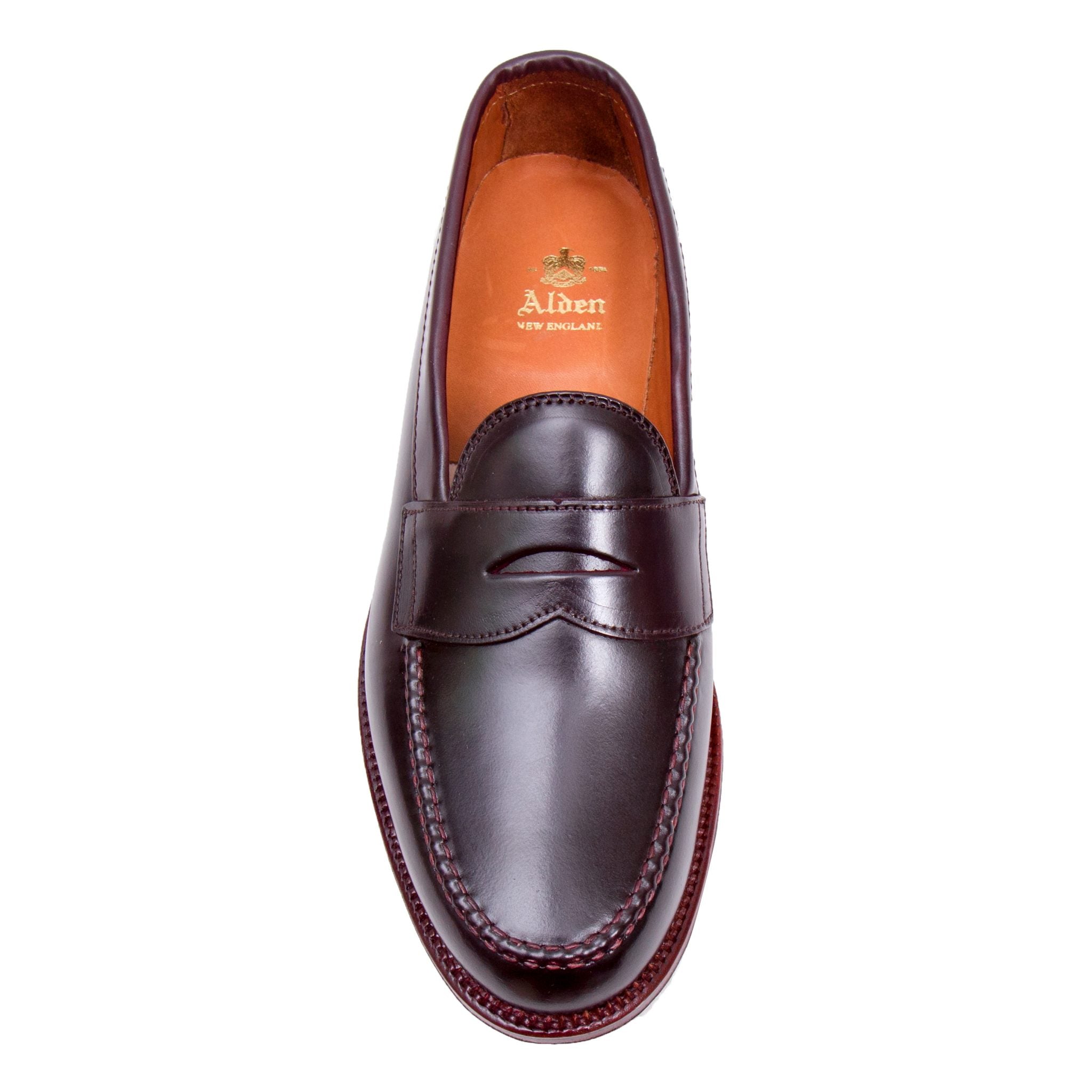  D6207 - Antique LHS in Color 8 Shell、mySite、preschool7hills