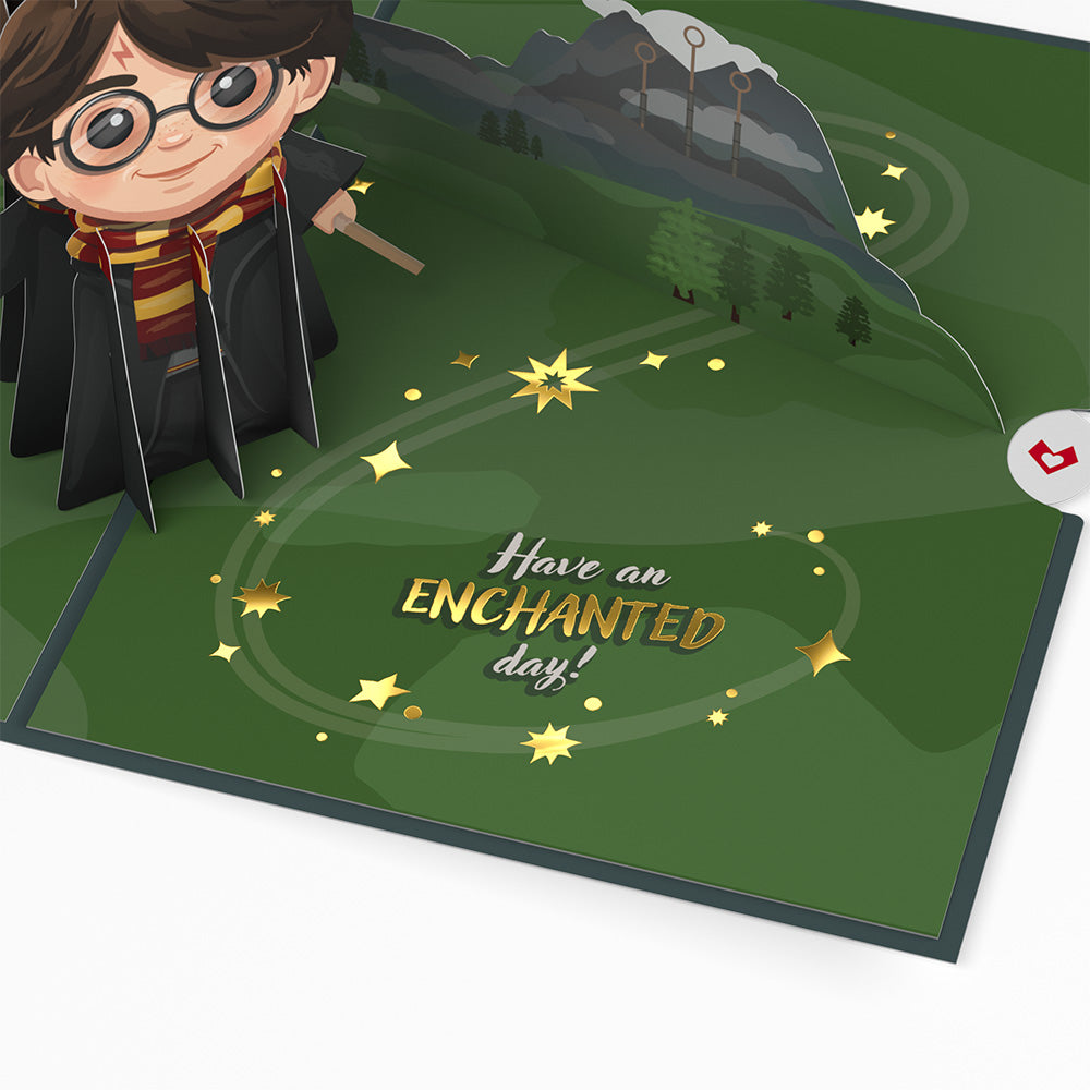Harry Potter™ The Chosen One Birthday Pop-Up Card、mySite、solidvoid