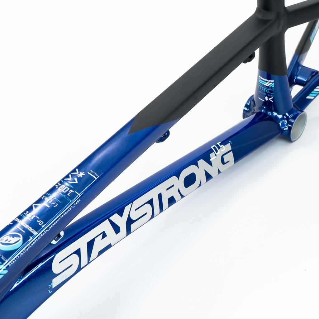  Stay Strong For Life V5 Cruiser Frame 2025、mySite、merchandisen
