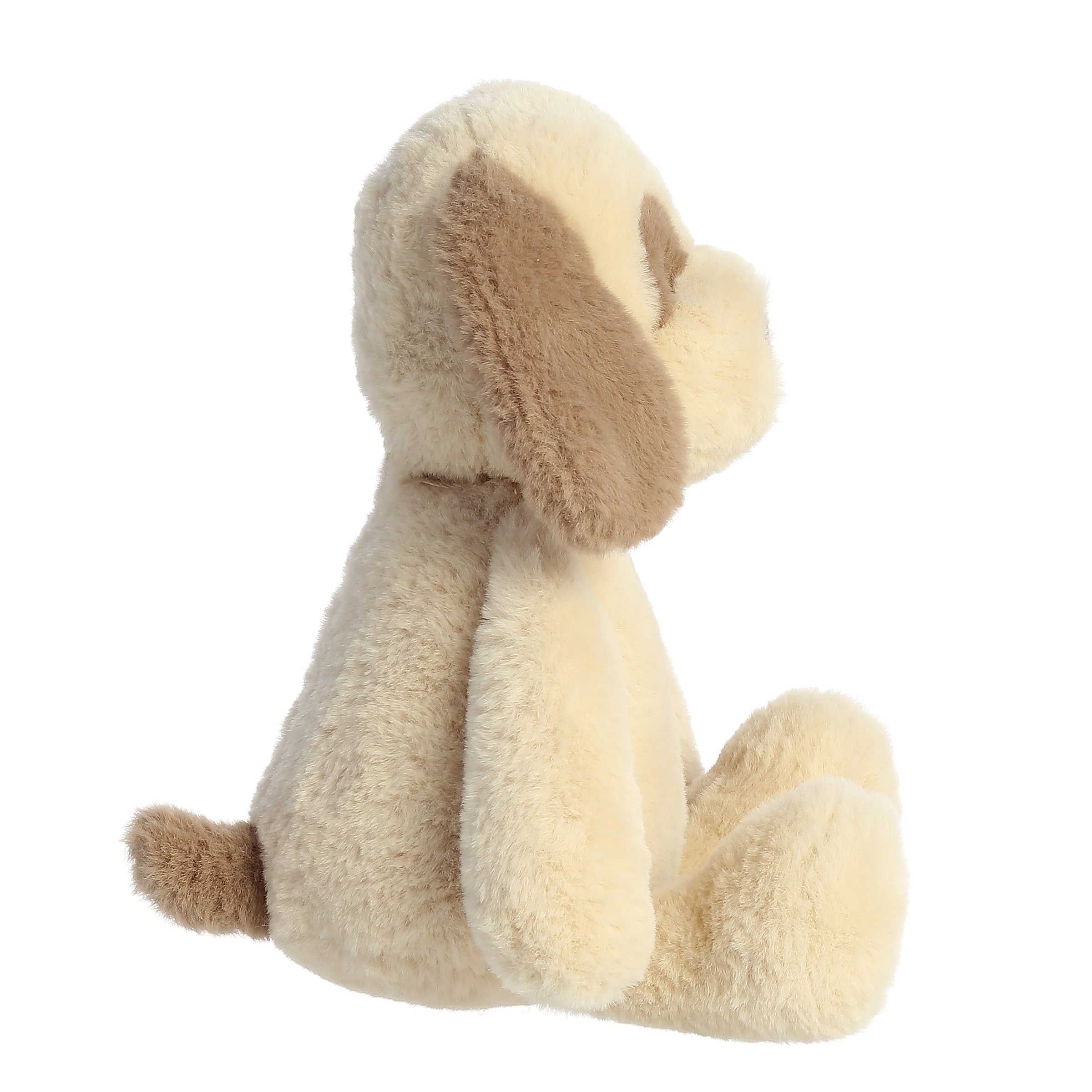 ebba™ - Eco Ebba™ - 12.5 Toddy Dog™、mySite、g9winljtr