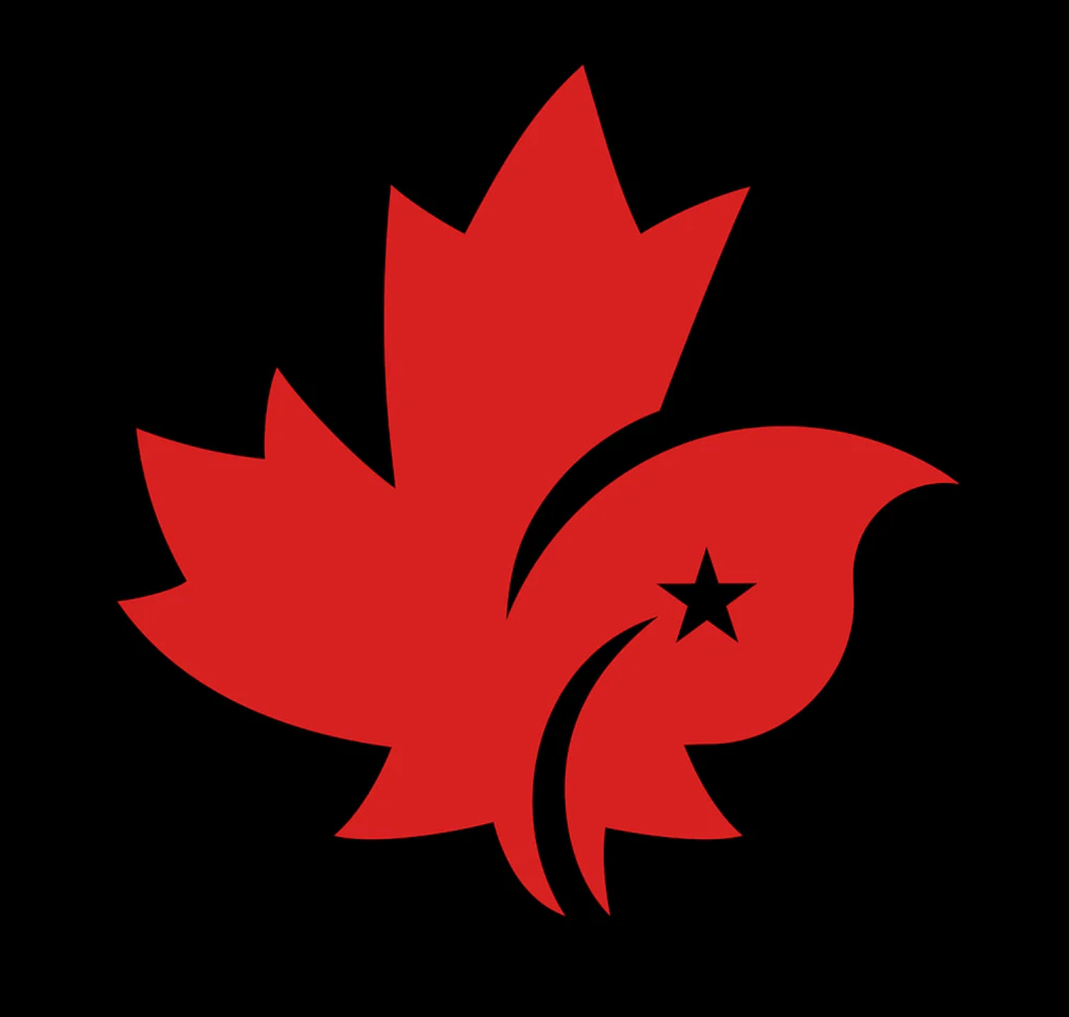 CDNIS Nursery Track Pants、mySite、g9winljtr