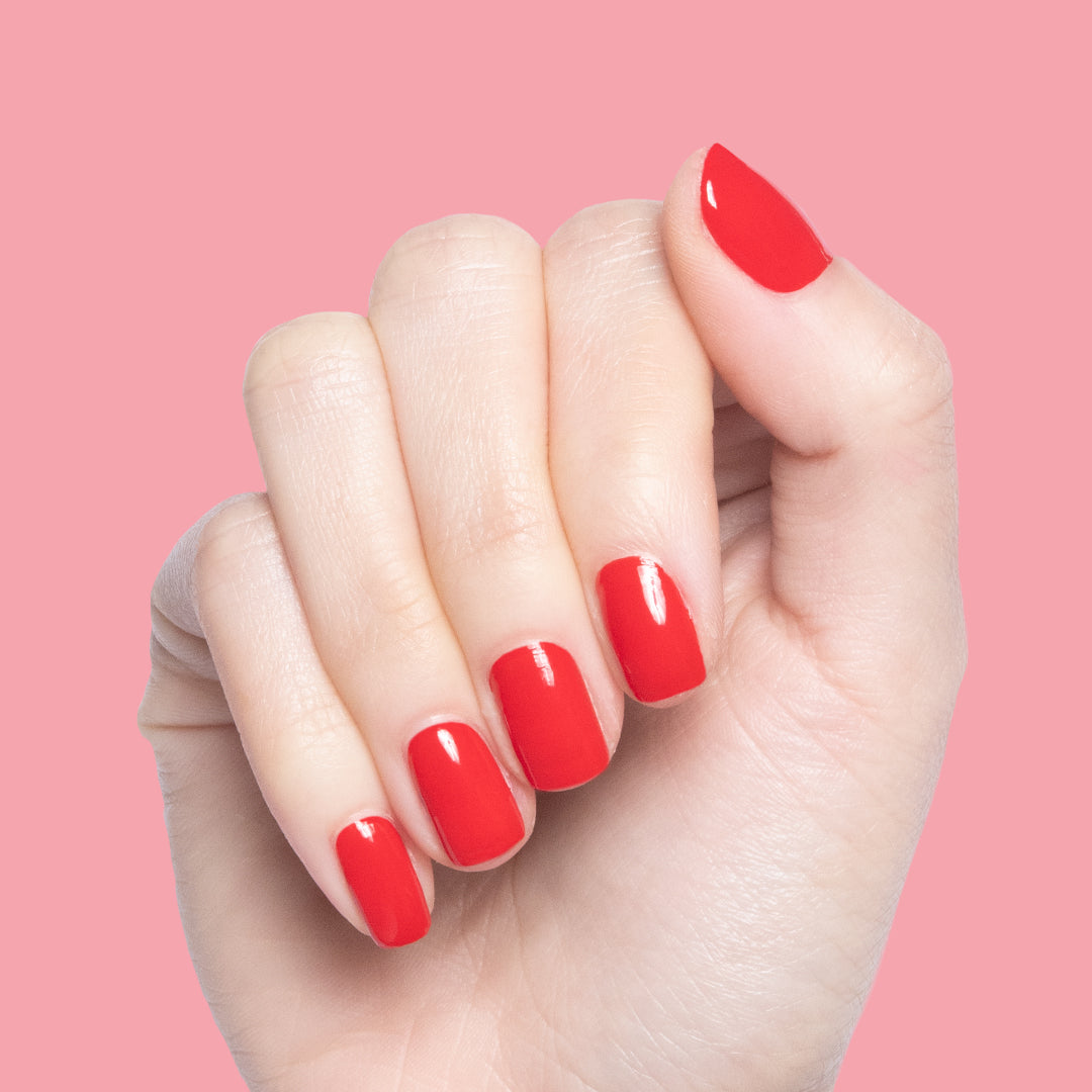 The Bold Set、mySite、solidvoid