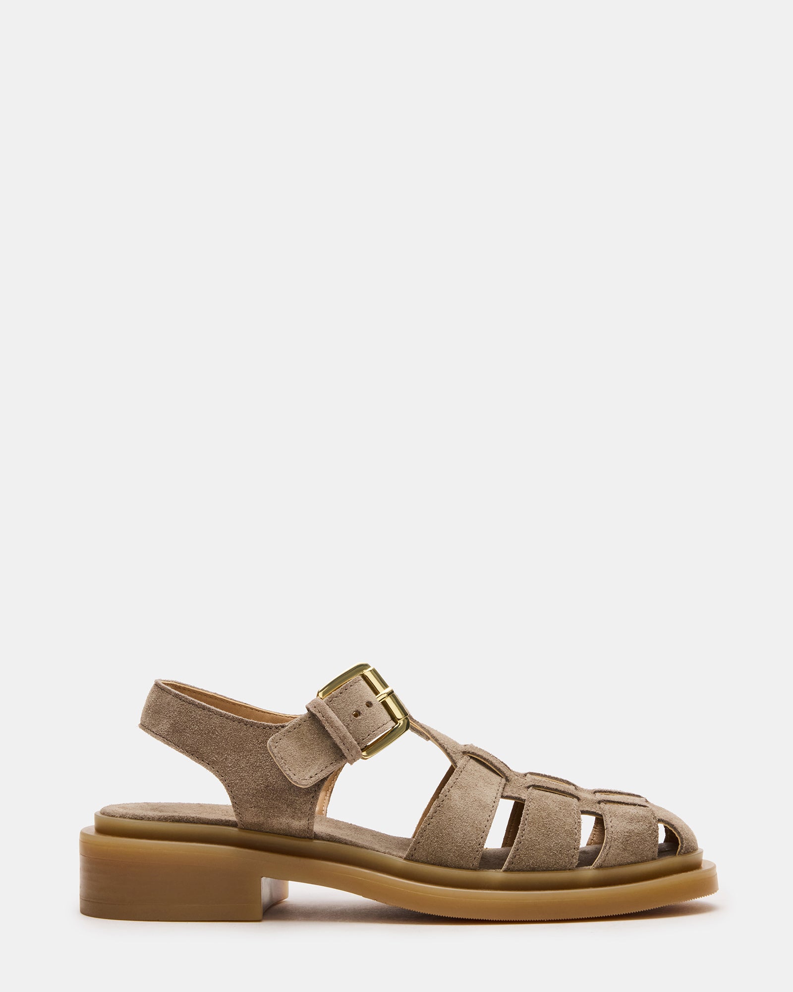 TOPE GREY SAGE、mySite、gtrtttuynbv