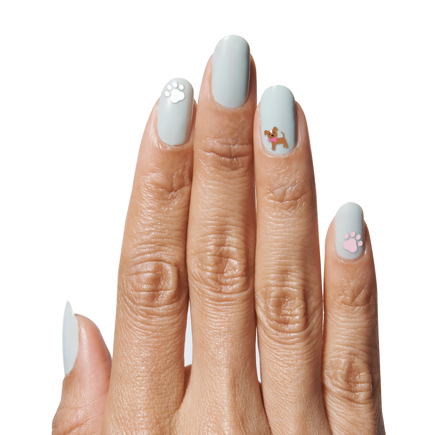 Furry Friends、mySite、solidvoid