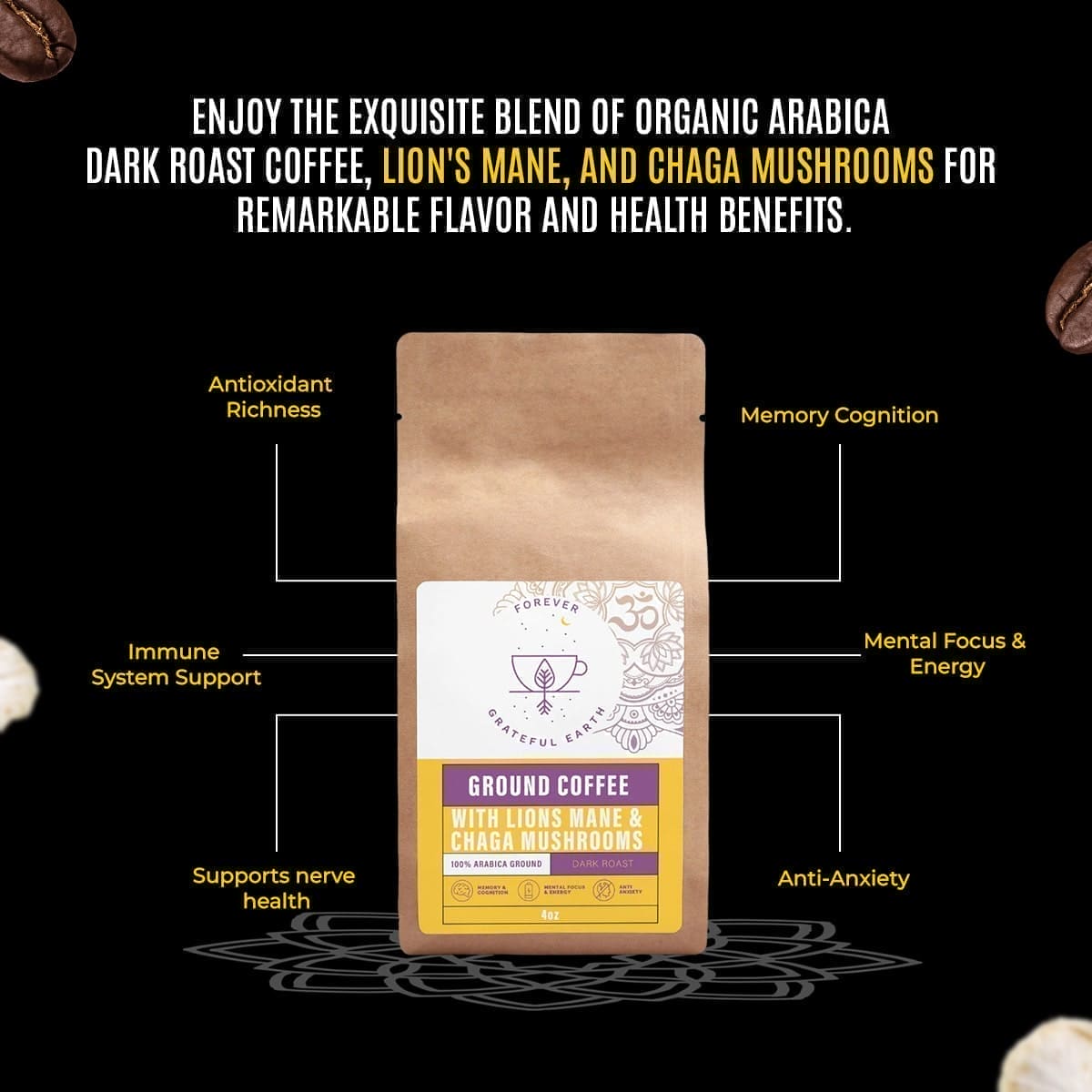 BIG Sweet & Earthy Duo - Harmony in Every Cup、mySite、gigharbornorthrealestate