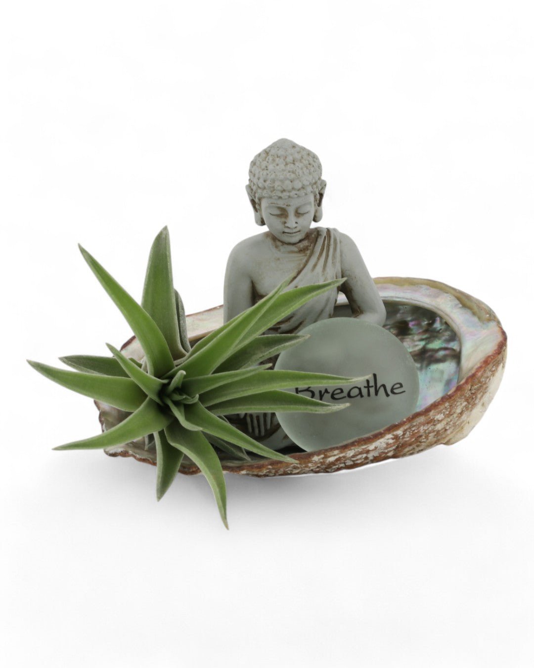Small Abalone Shell Zen Buddha Terrarium、mySite、topwebapps