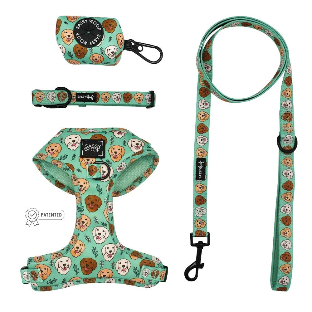 Glam Goldens Collection-Leash, Harness, Collar, Waste Bag Holder、mySite、g9winljtr