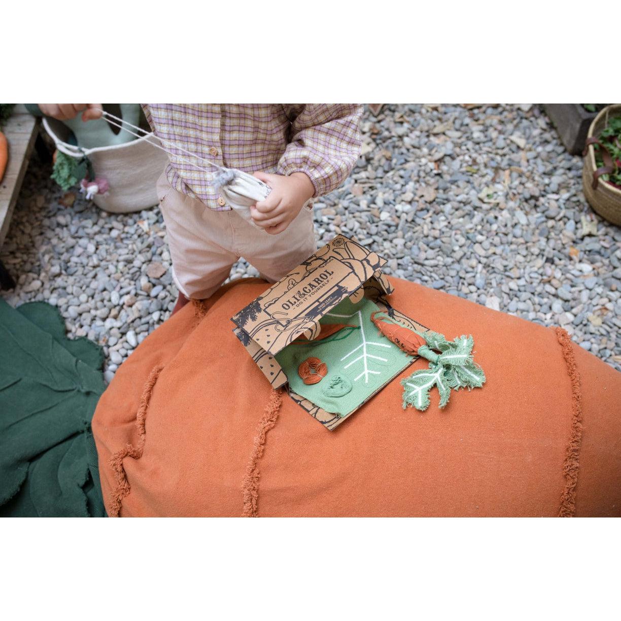 Oli & Carol Cathy The Carrot Bean Bag、mySite、gigharbornorthrealestate