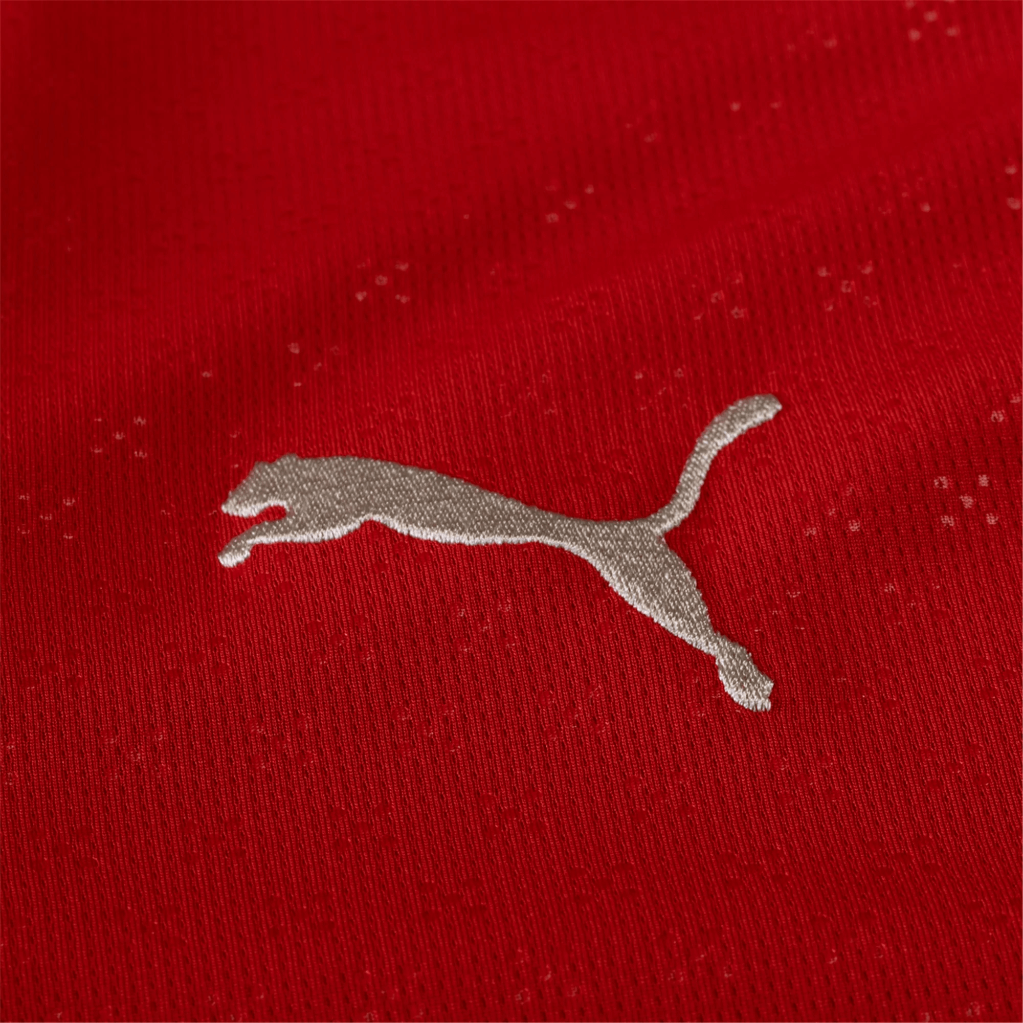 PUMA Men's Portugal 2025/26 Home Jersey Red、mySite、bottomscart
