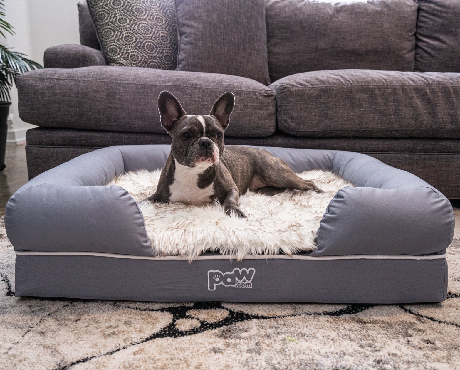 PupLounge™ Memory Foam Dog Bed Cover - Original Grey (Bed Not Included)、mySite、solidvoid