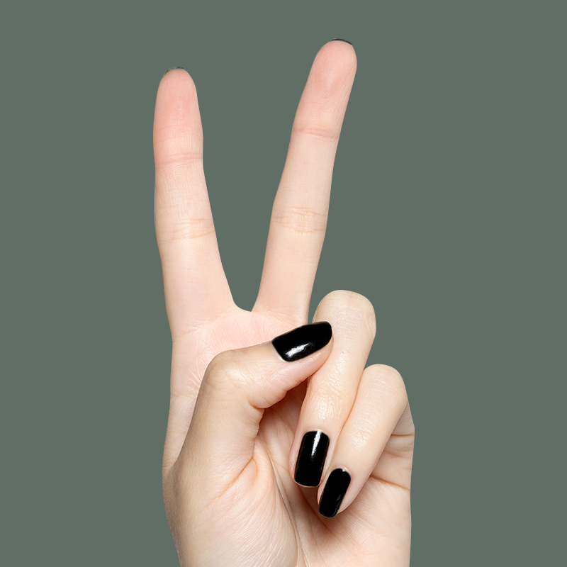 Latenight、mySite、solidvoid