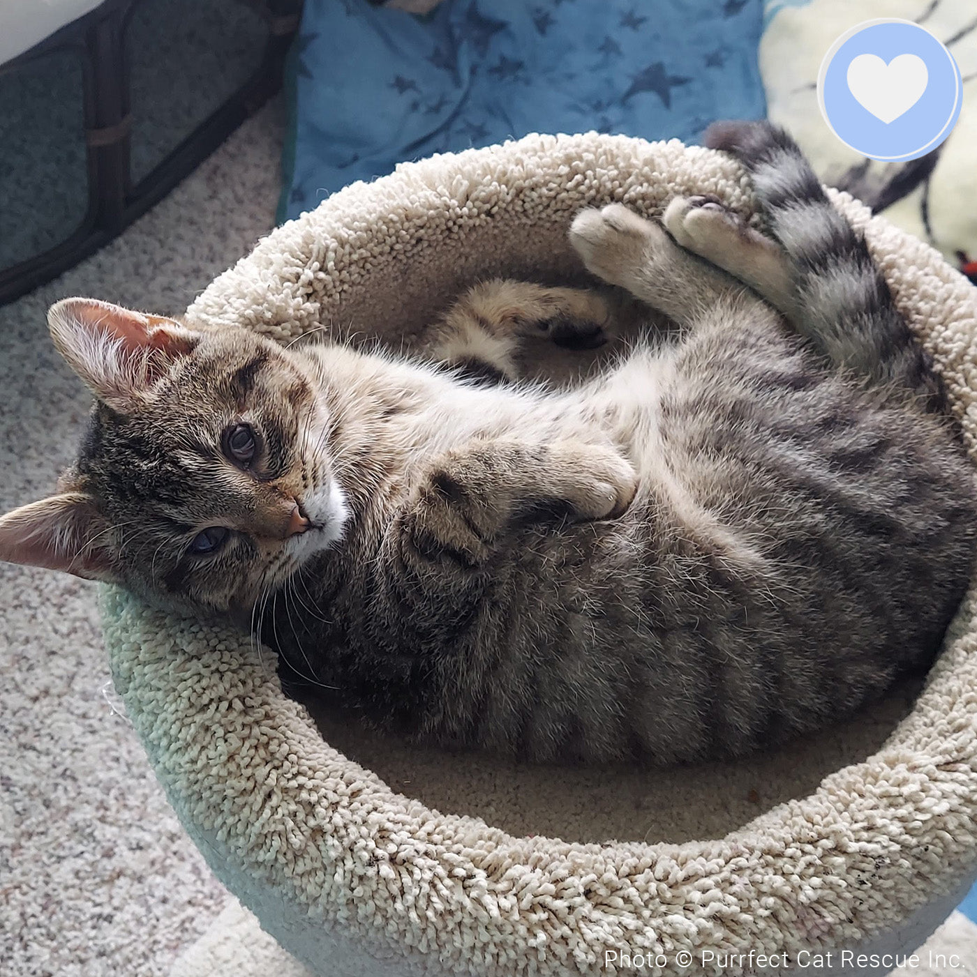 Funded - Help Doug Keep His Sight、mySite、camillekostekn