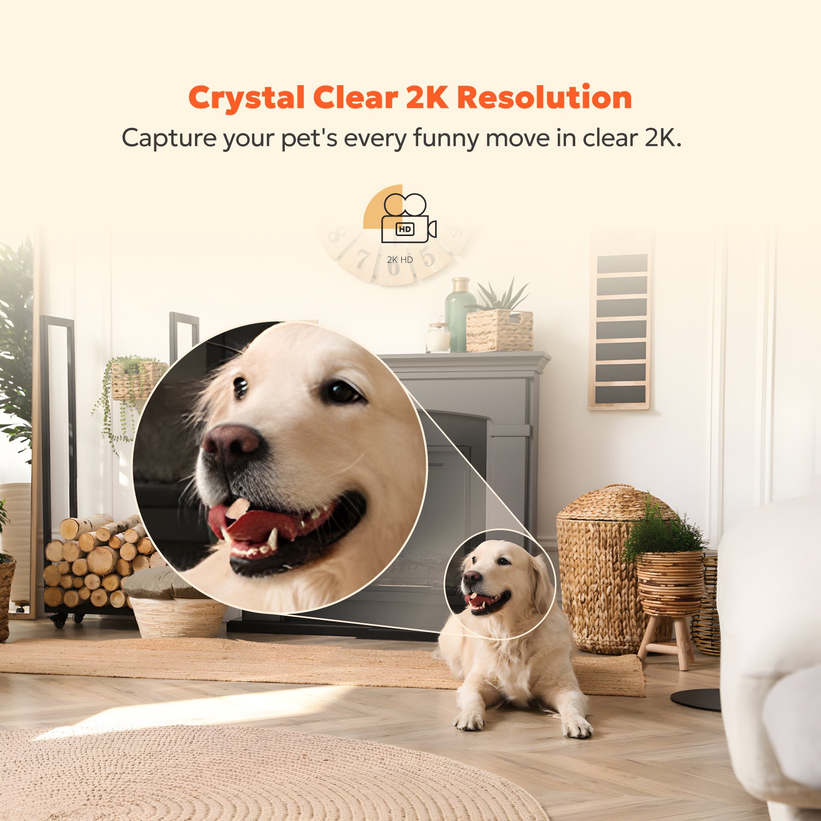 4MP Indoor Camera - T1 (Wired)、mySite、fannypackpong