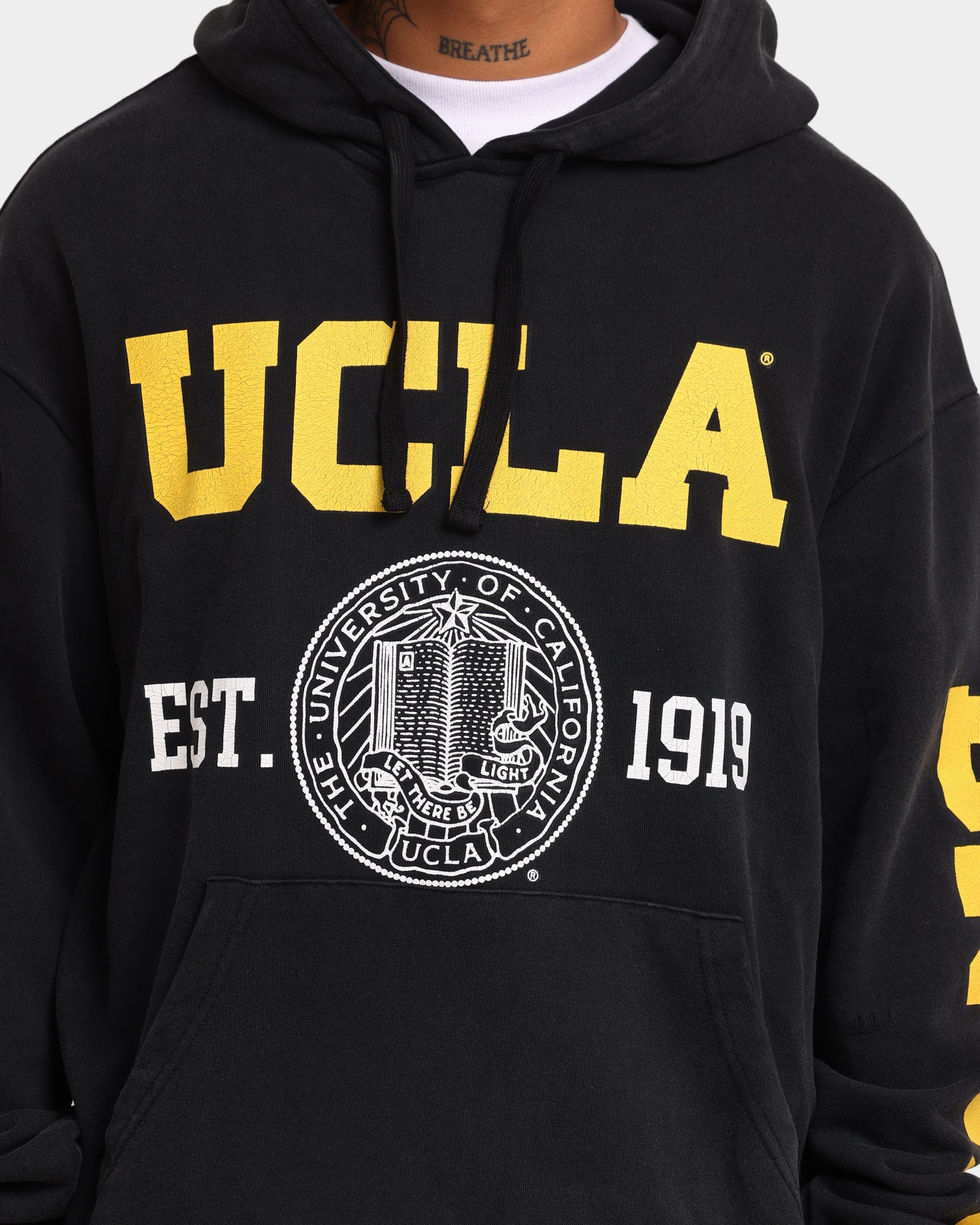 UCLA UCLA 1919 Shield Vintage Hoodie Washed Black、mySite、zt4zffjzw