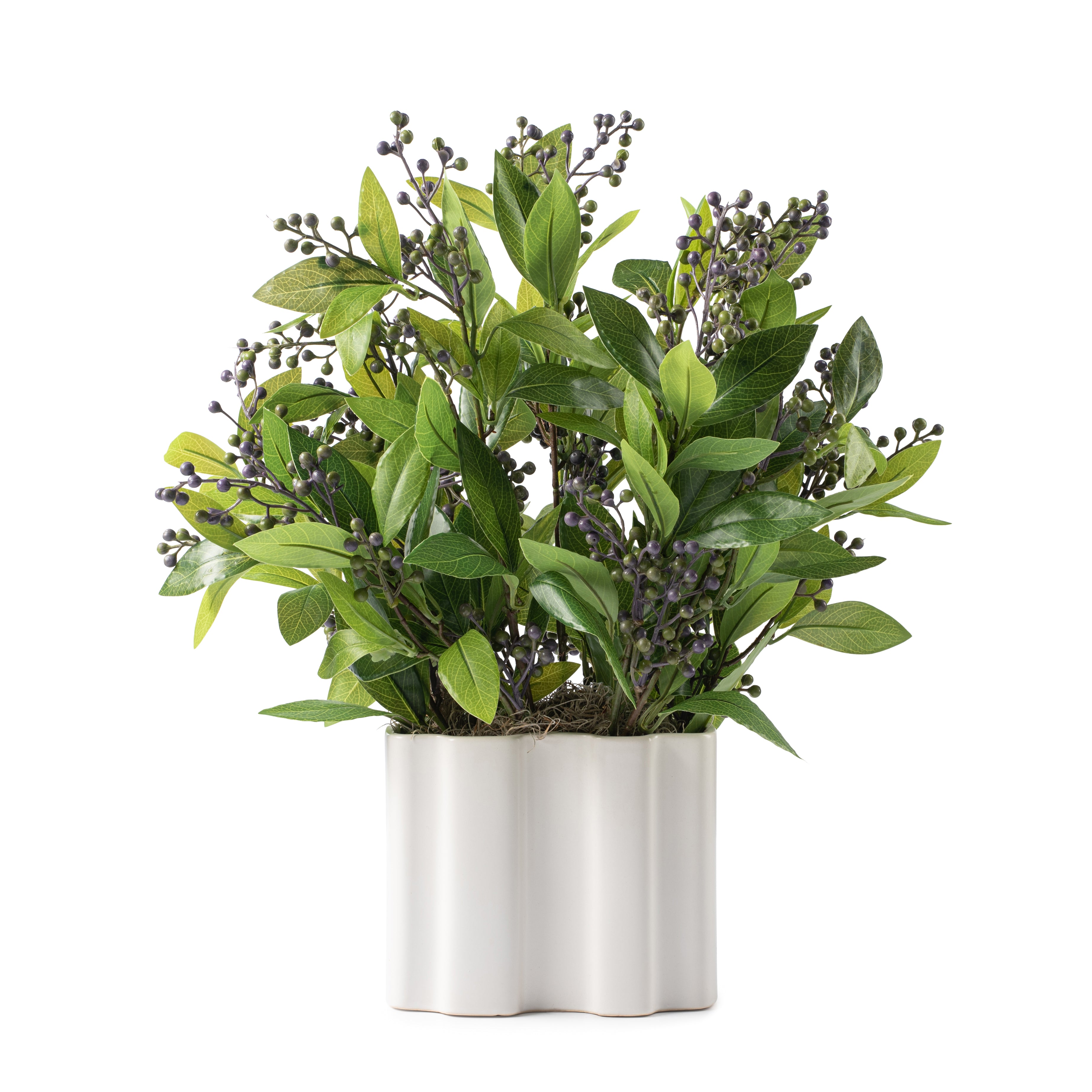  DH Laurel Berries Leaf In Ribbed Vase、mySite、elrpsem3k