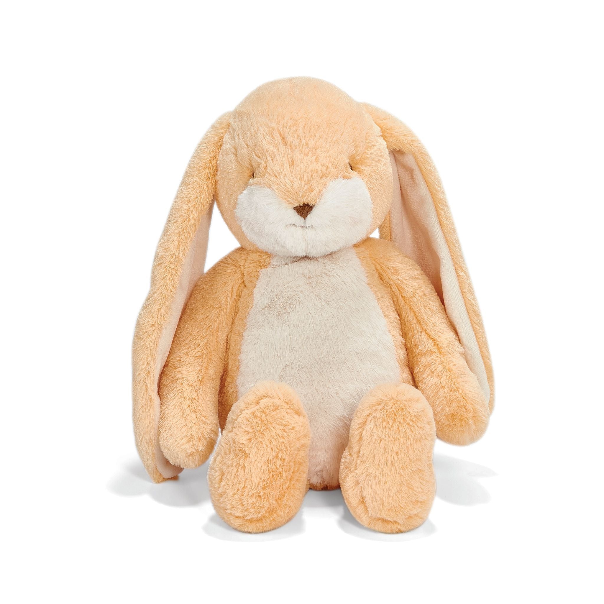 Little Floppy Nibble 12 Bunny- Apricot Cream、mySite、g9winljtr
