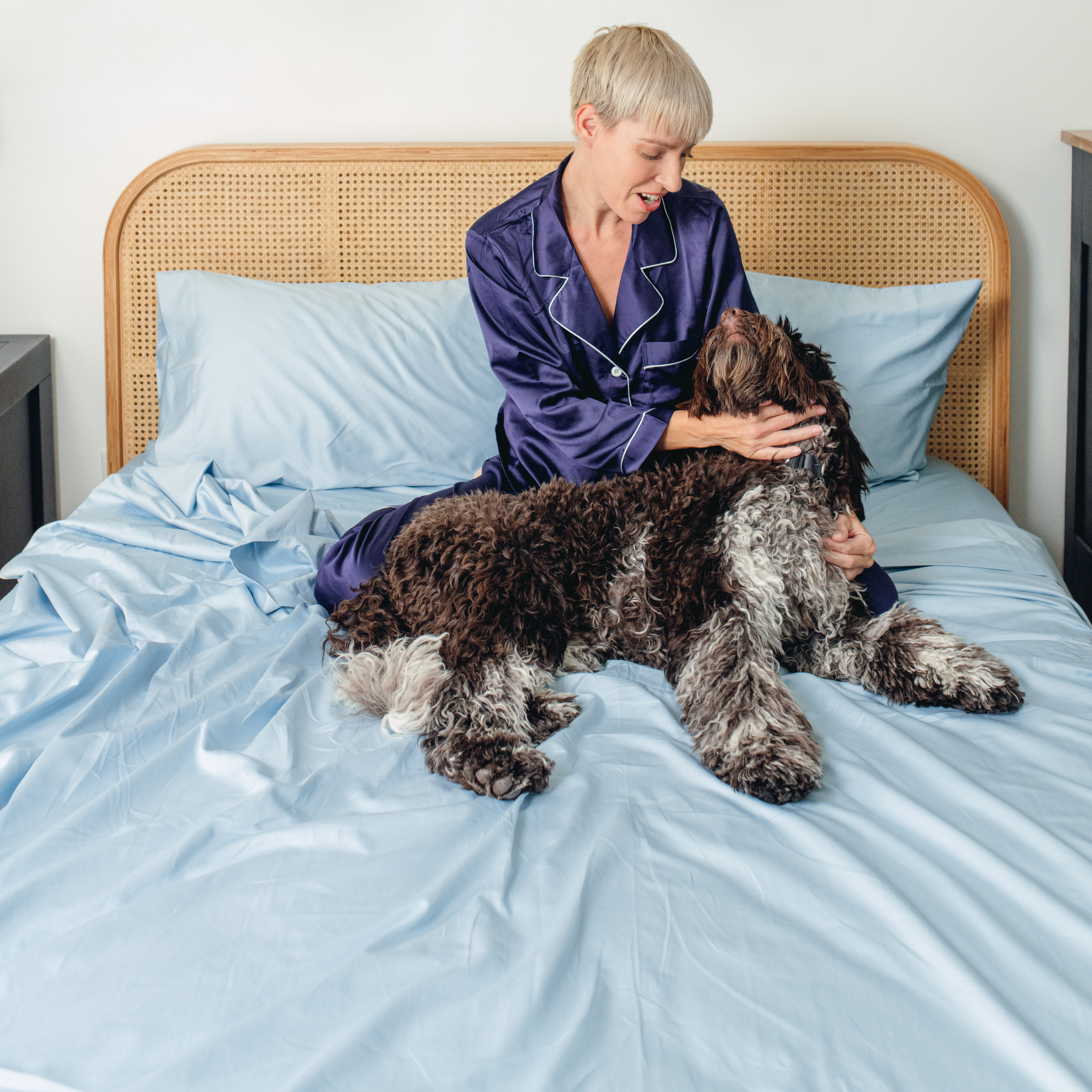 PupSheets™ Hair Resistant, Antimicrobial & Cooling Sheet Set - Sky Blue、mySite、solidvoid