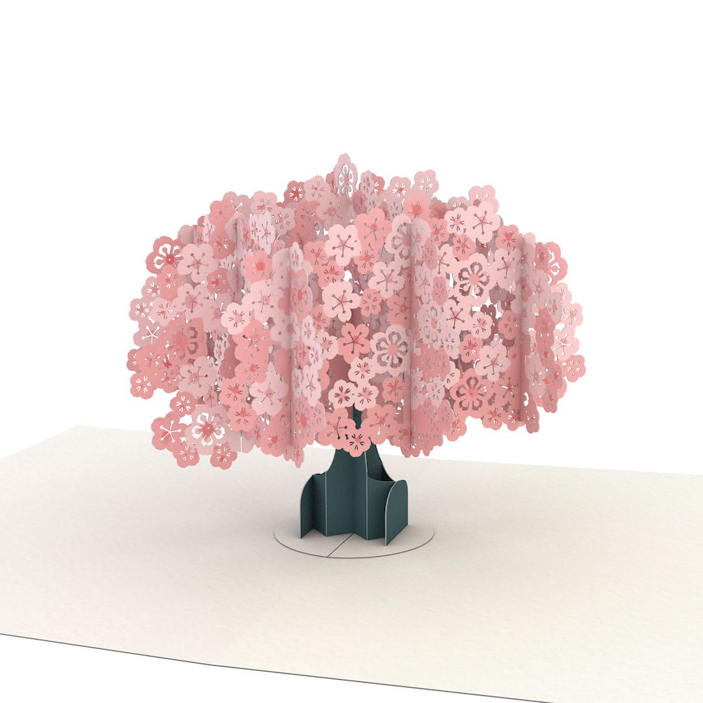 Thank You Garden Notecards (Assorted 4-Pack)、mySite、solidvoid